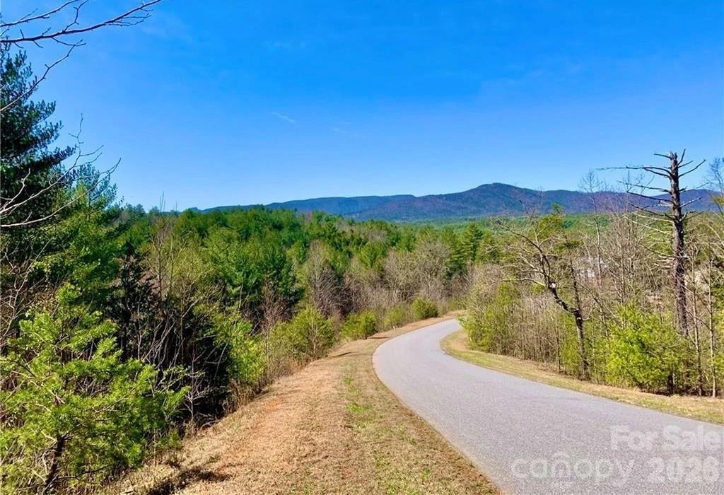Lot 148 Rocky Falls Lane #148 - Photo 3