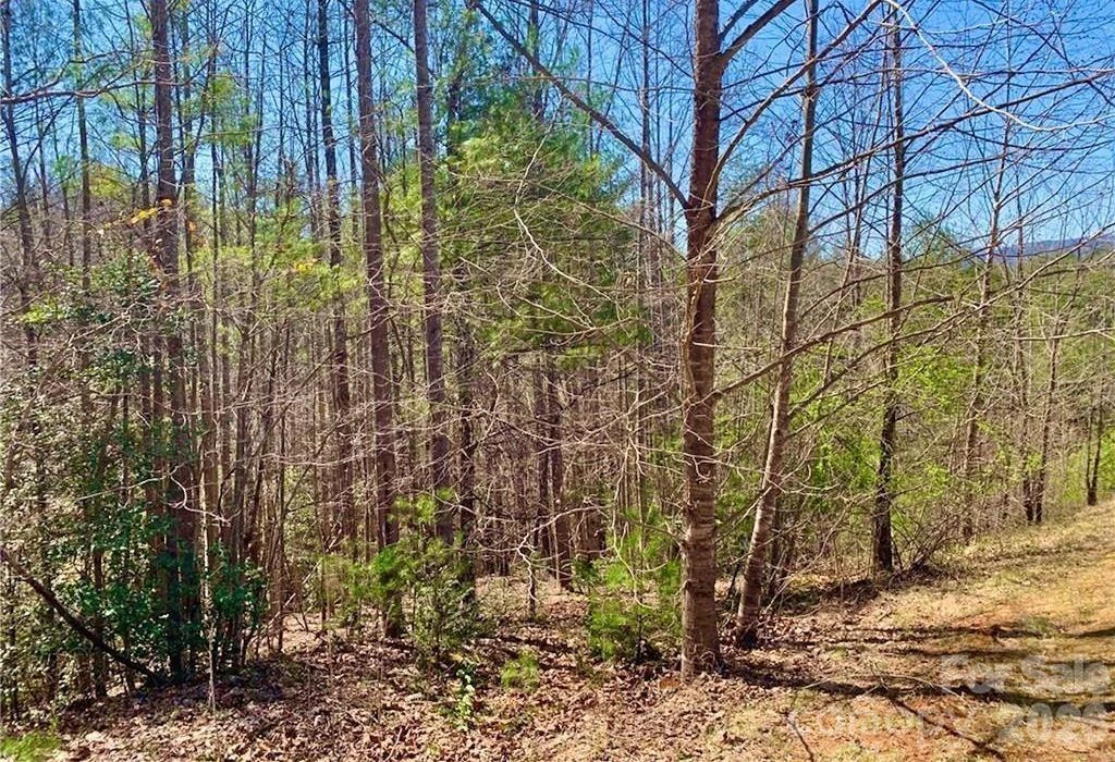 Lot 148 Rocky Falls Lane #148 - Photo 4