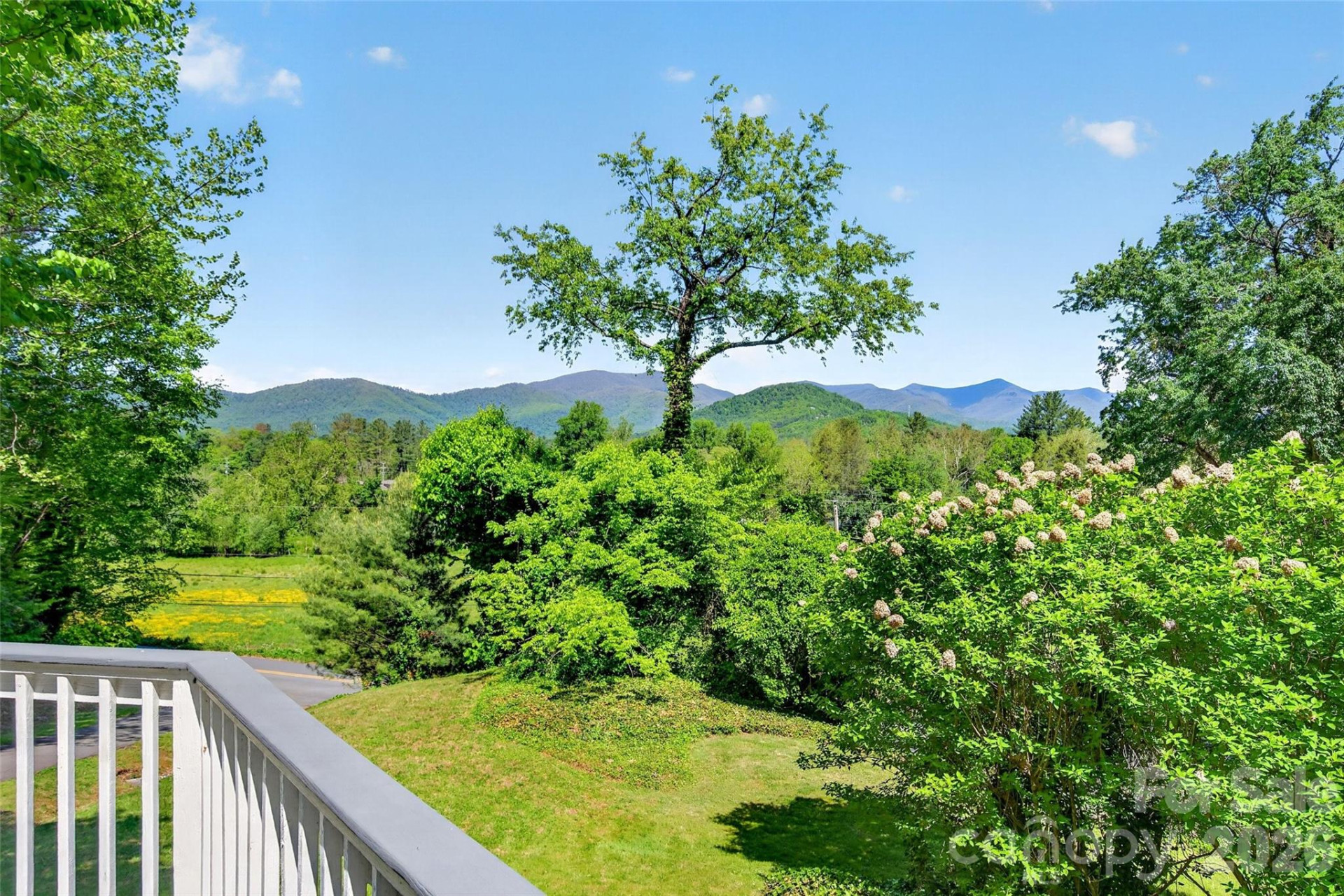 75 Old Lakey Gap Road - Photo 2