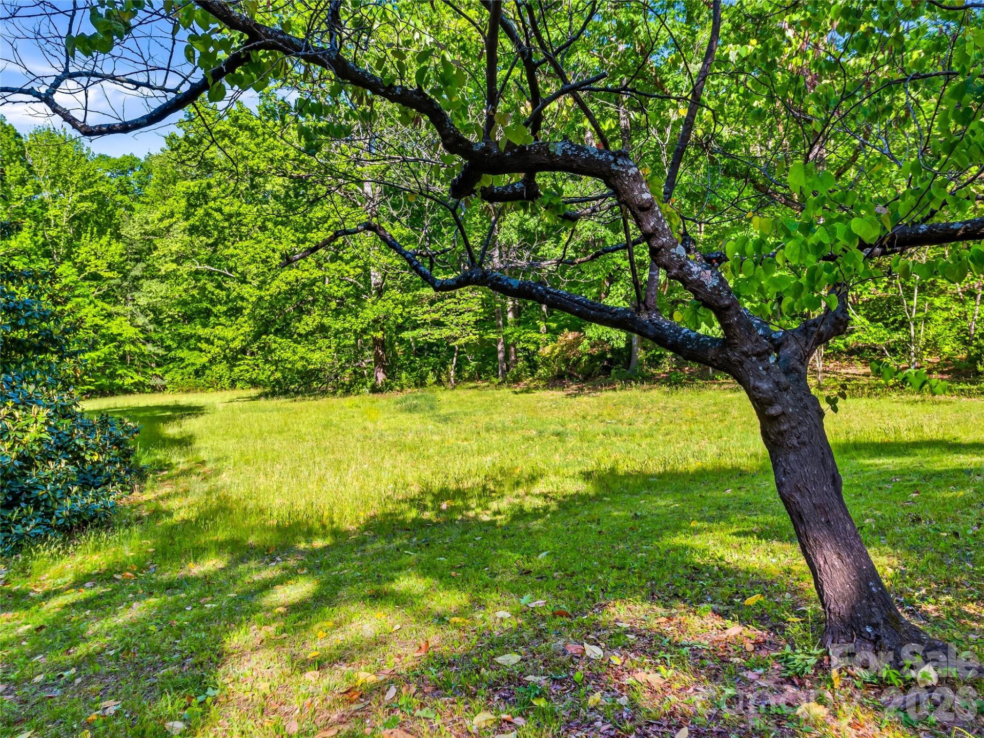 100 Hummingbird Lane - Photo 13