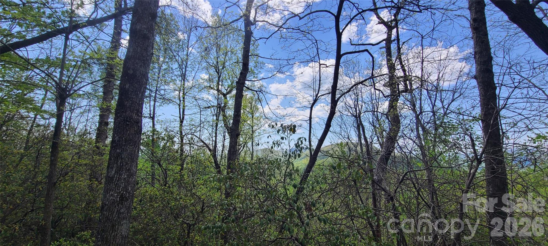 102 High Cliffs Trail - Photo 2