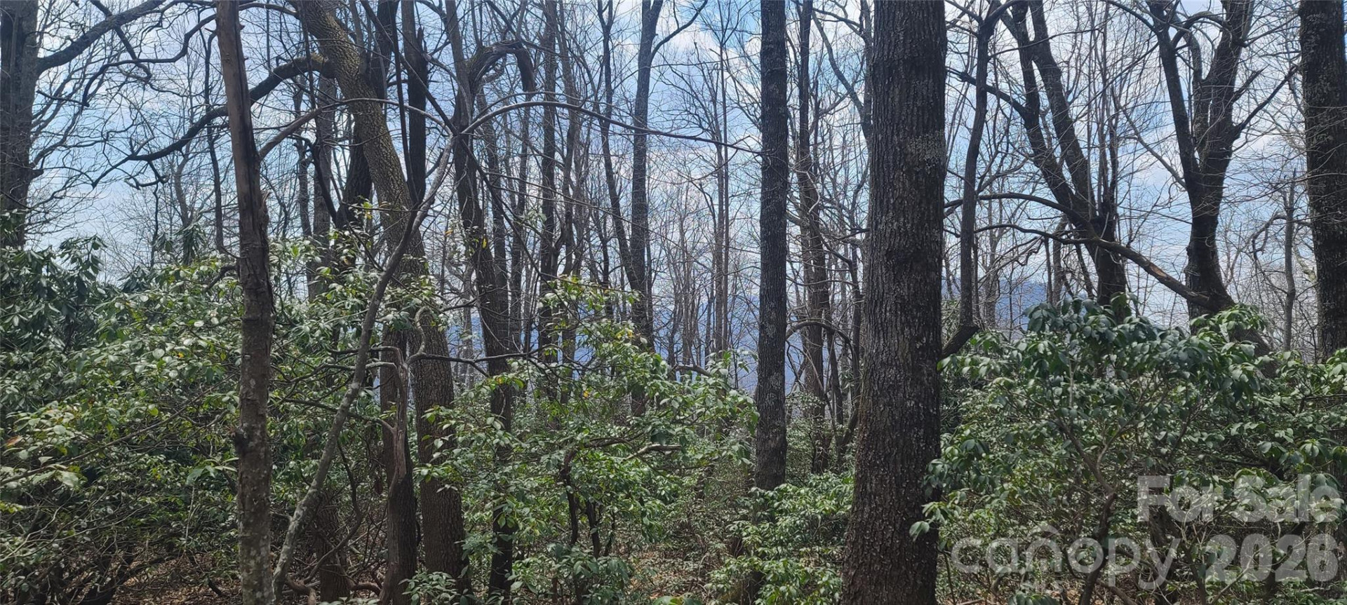 102 High Cliffs Trail - Photo 11