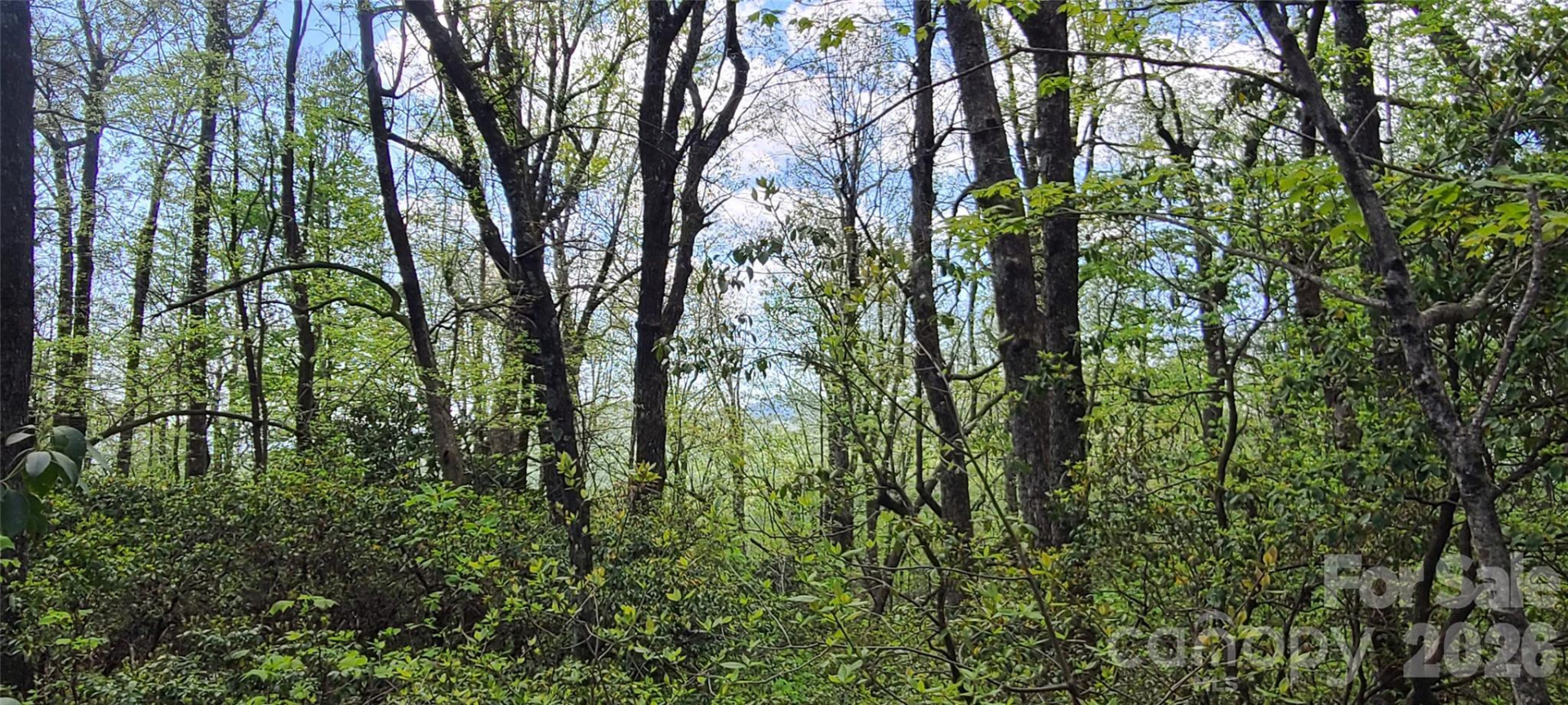 102 High Cliffs Trail - Photo 3