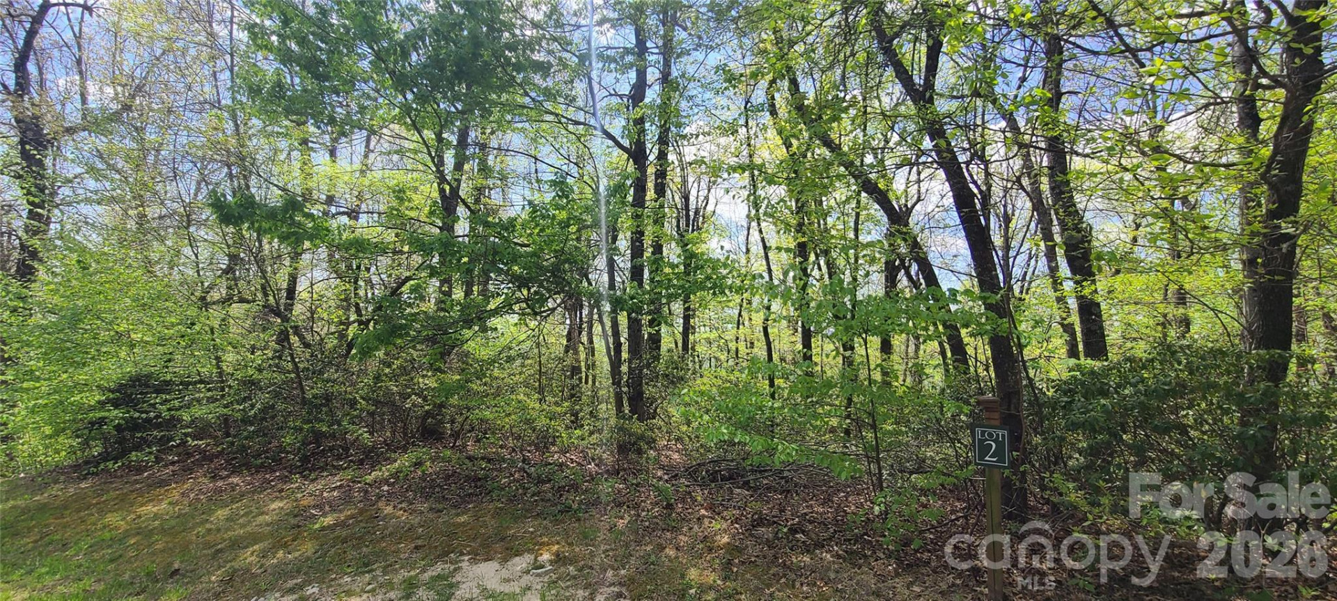 102 High Cliffs Trail - Photo 4