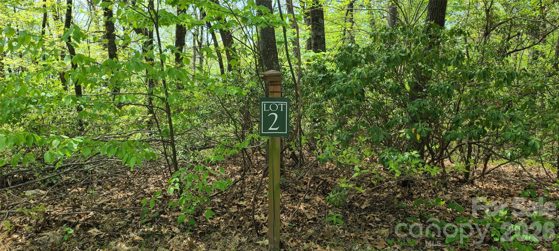 102 High Cliffs Trail - Photo 5