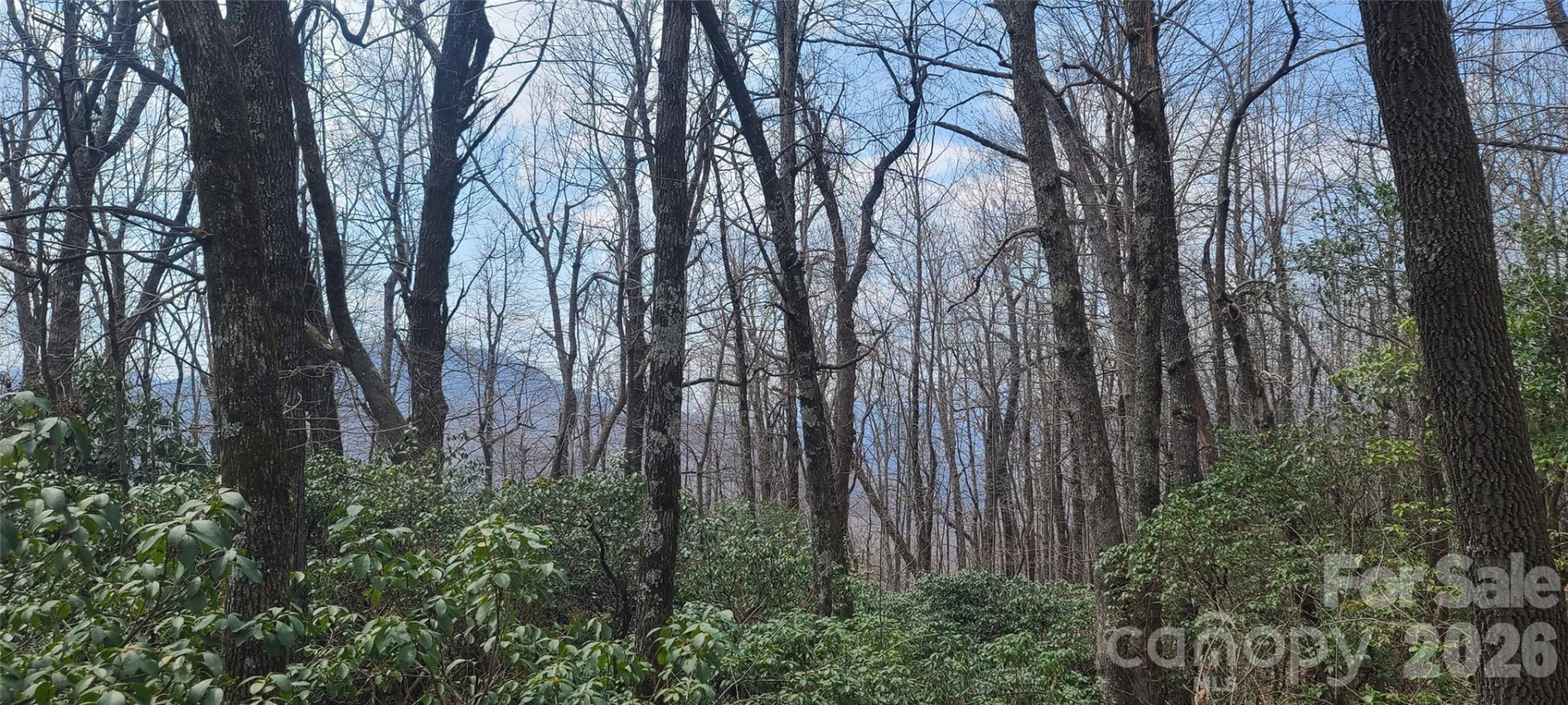 102 High Cliffs Trail - Photo 6