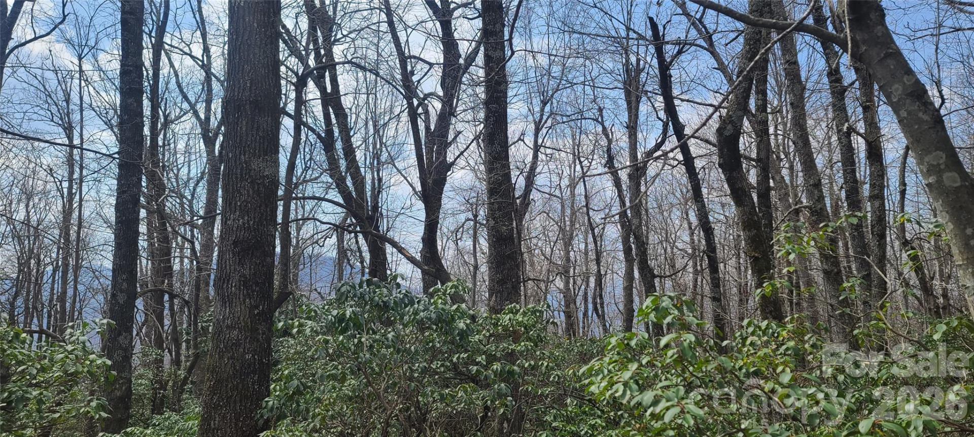 102 High Cliffs Trail - Photo 7