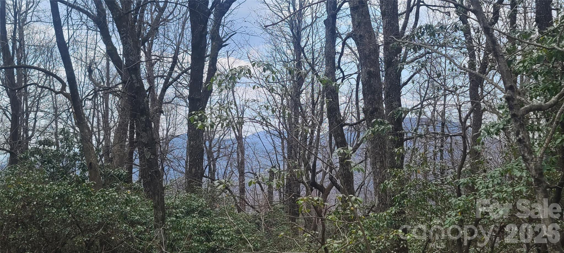 102 High Cliffs Trail - Photo 8