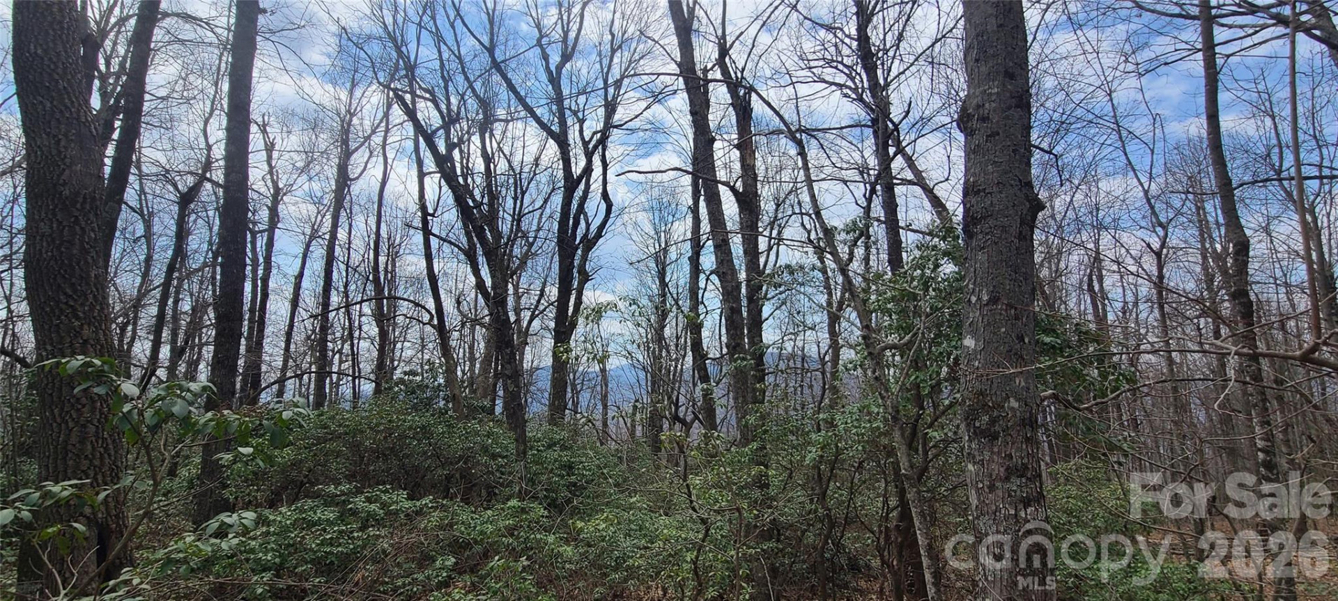 102 High Cliffs Trail - Photo 9