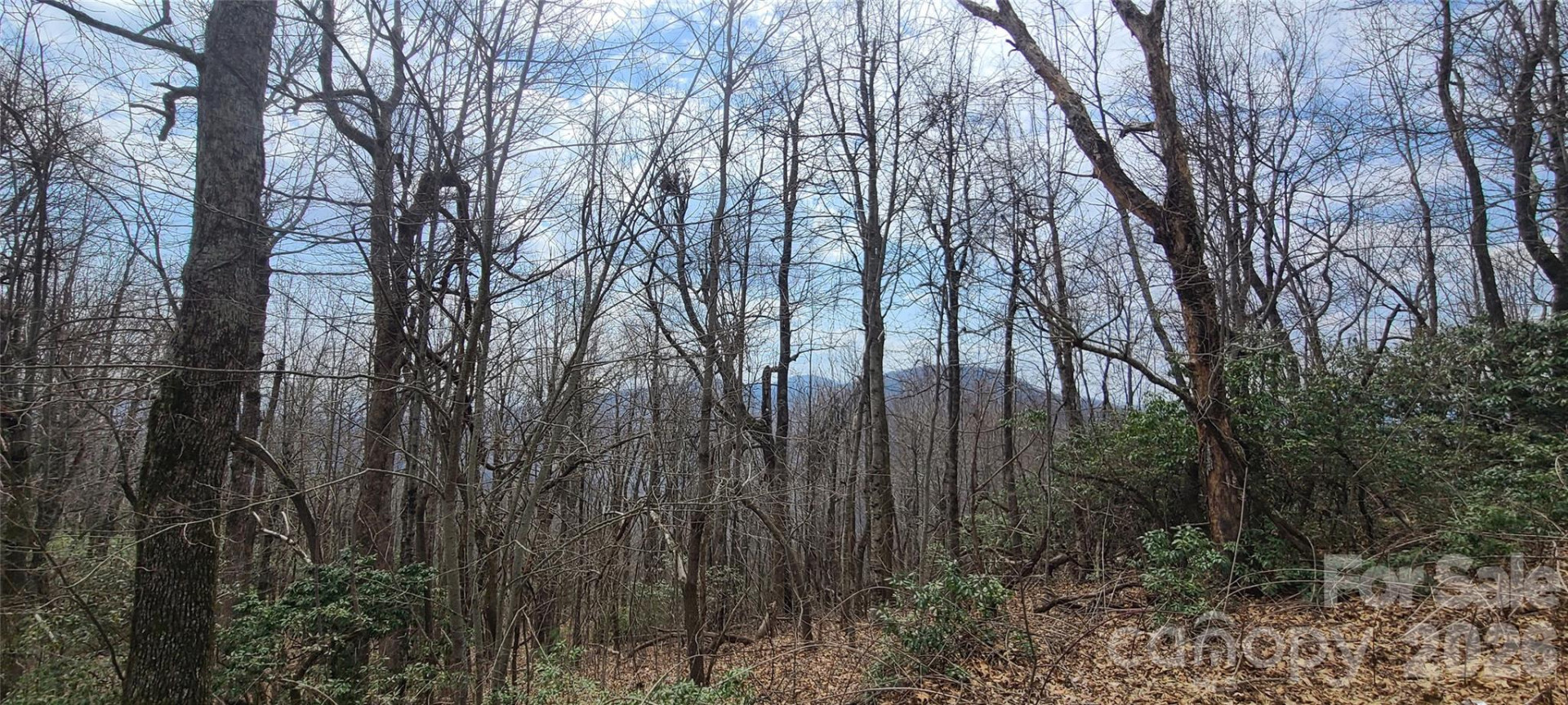 102 High Cliffs Trail - Photo 10