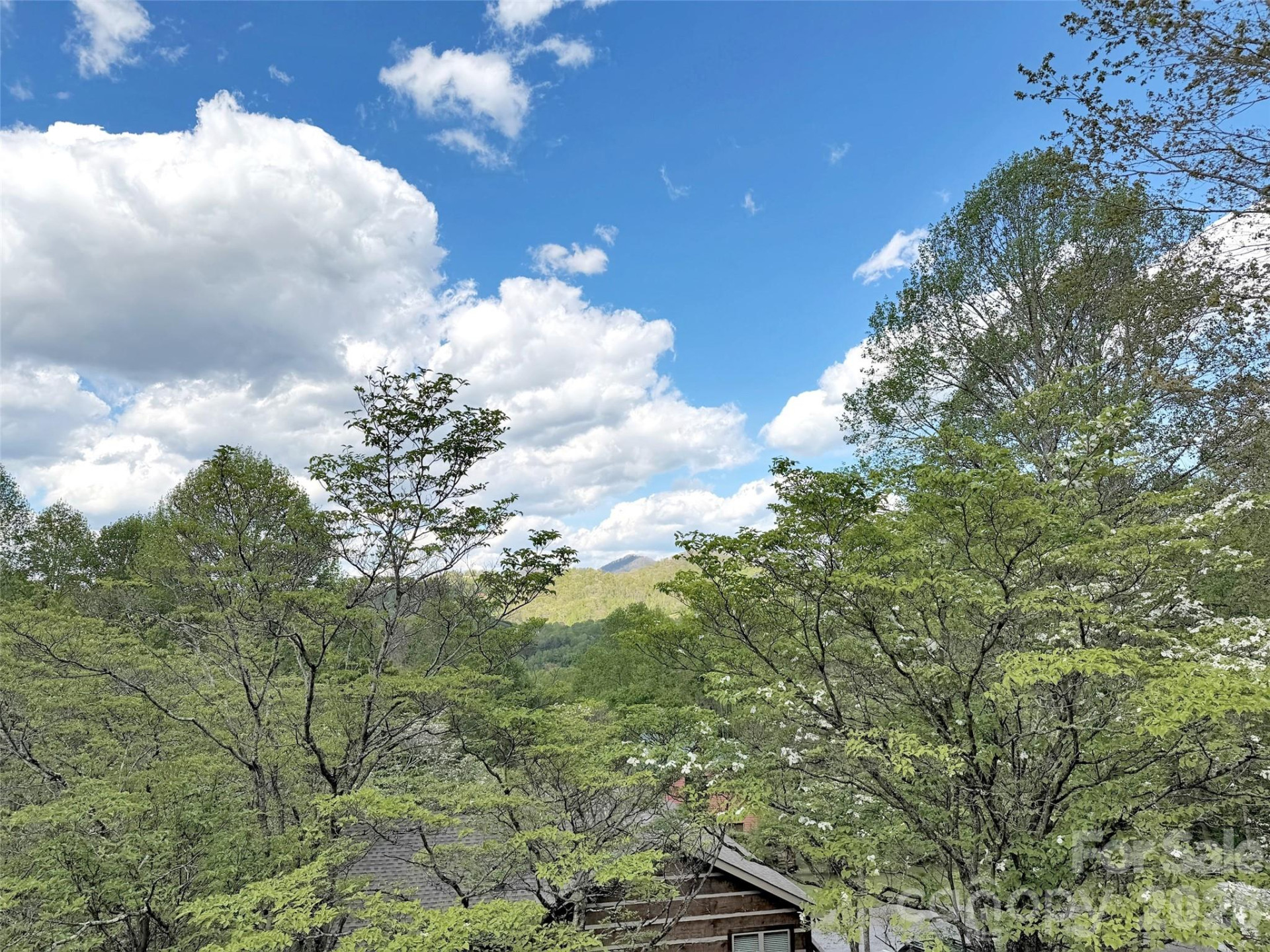 487 Julia Lane - Photo 44