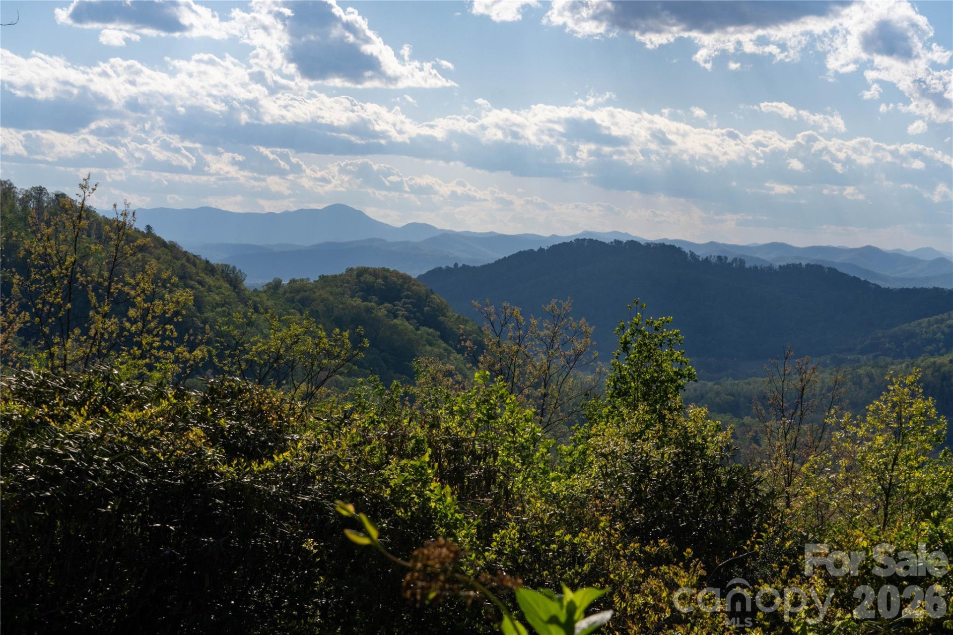 1412 Bearwallow Road - Photo 2