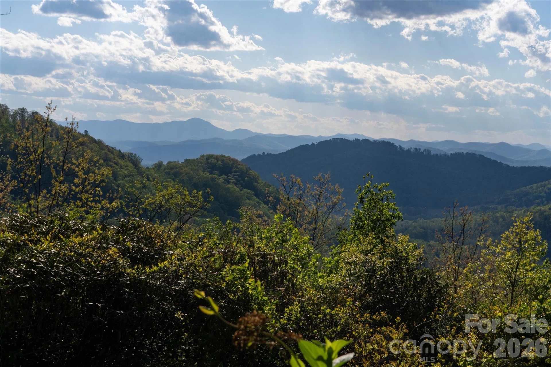 1412 Bearwallow Road - Photo 2