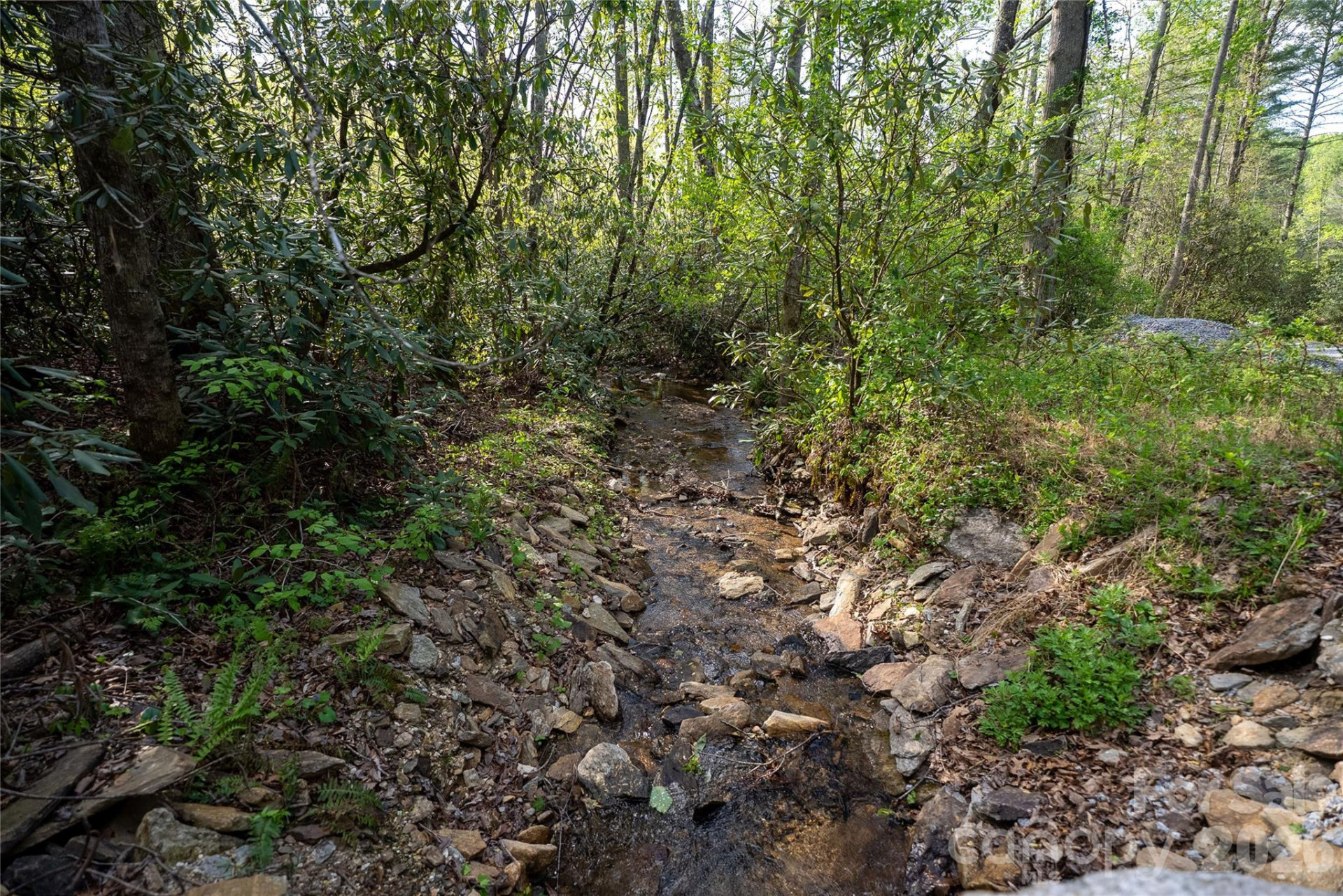 1412 Bearwallow Road - Photo 12