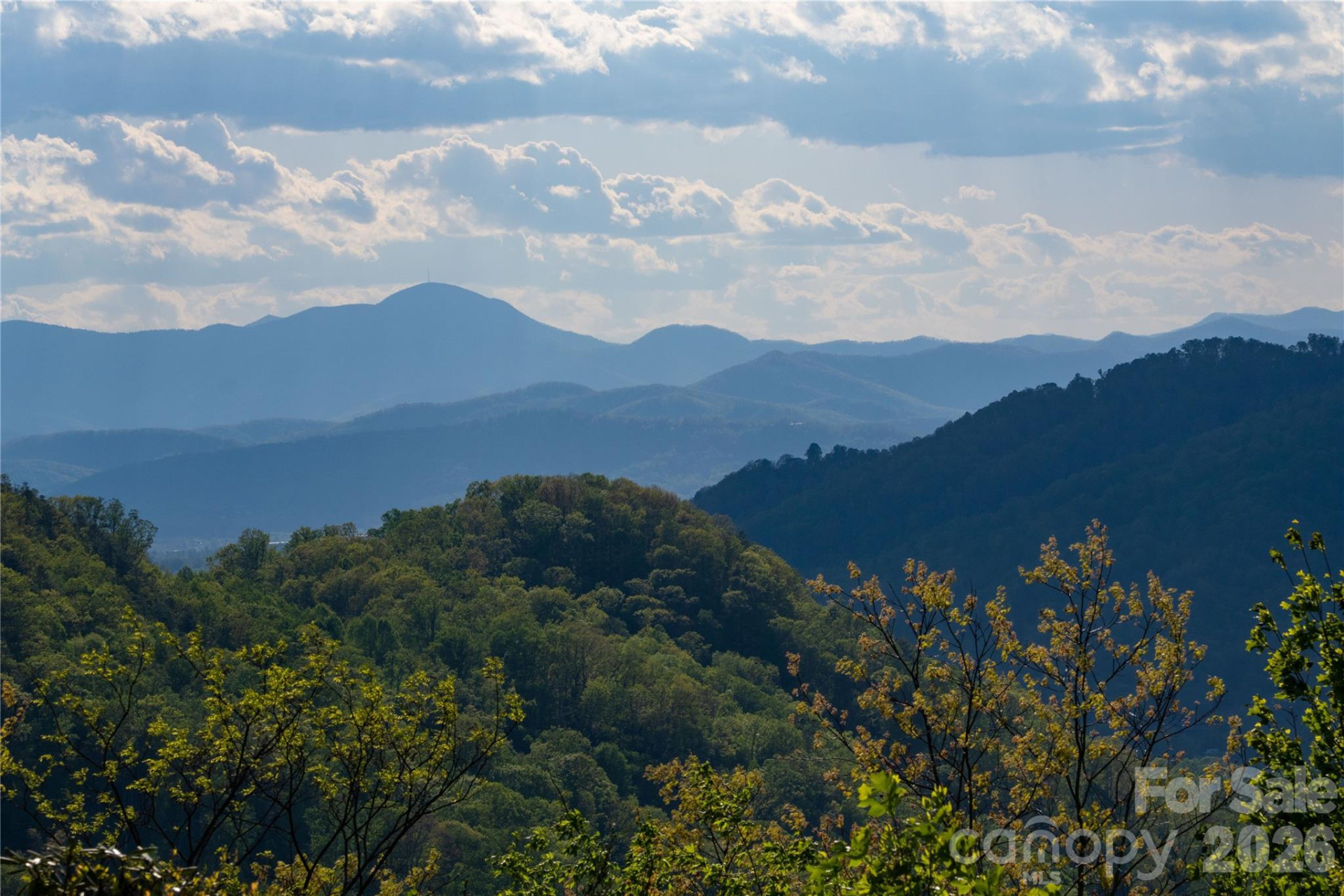 1412 Bearwallow Road - Photo 13