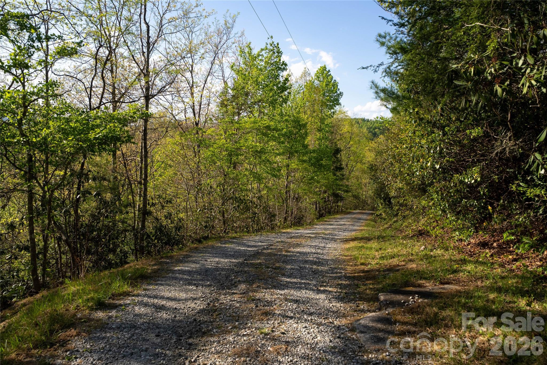 1412 Bearwallow Road - Photo 29