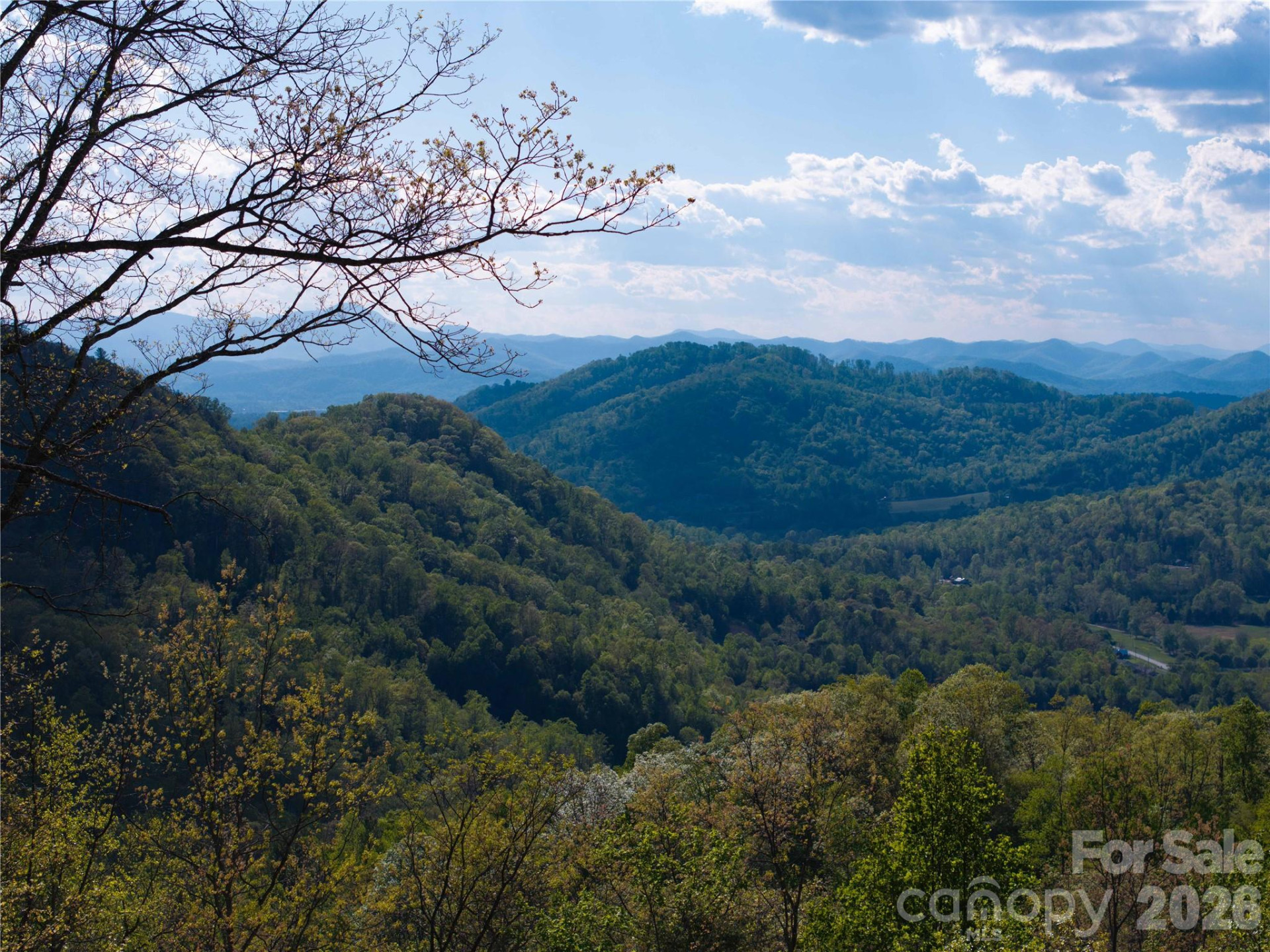 1412 Bearwallow Road - Photo 4