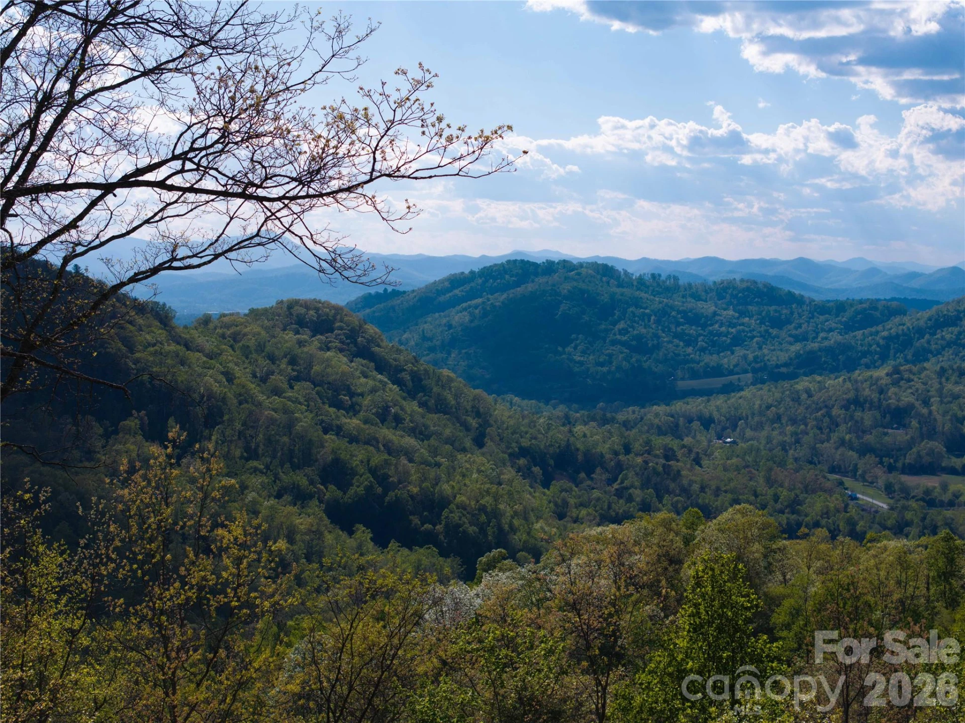 1412 Bearwallow Road - Photo 4