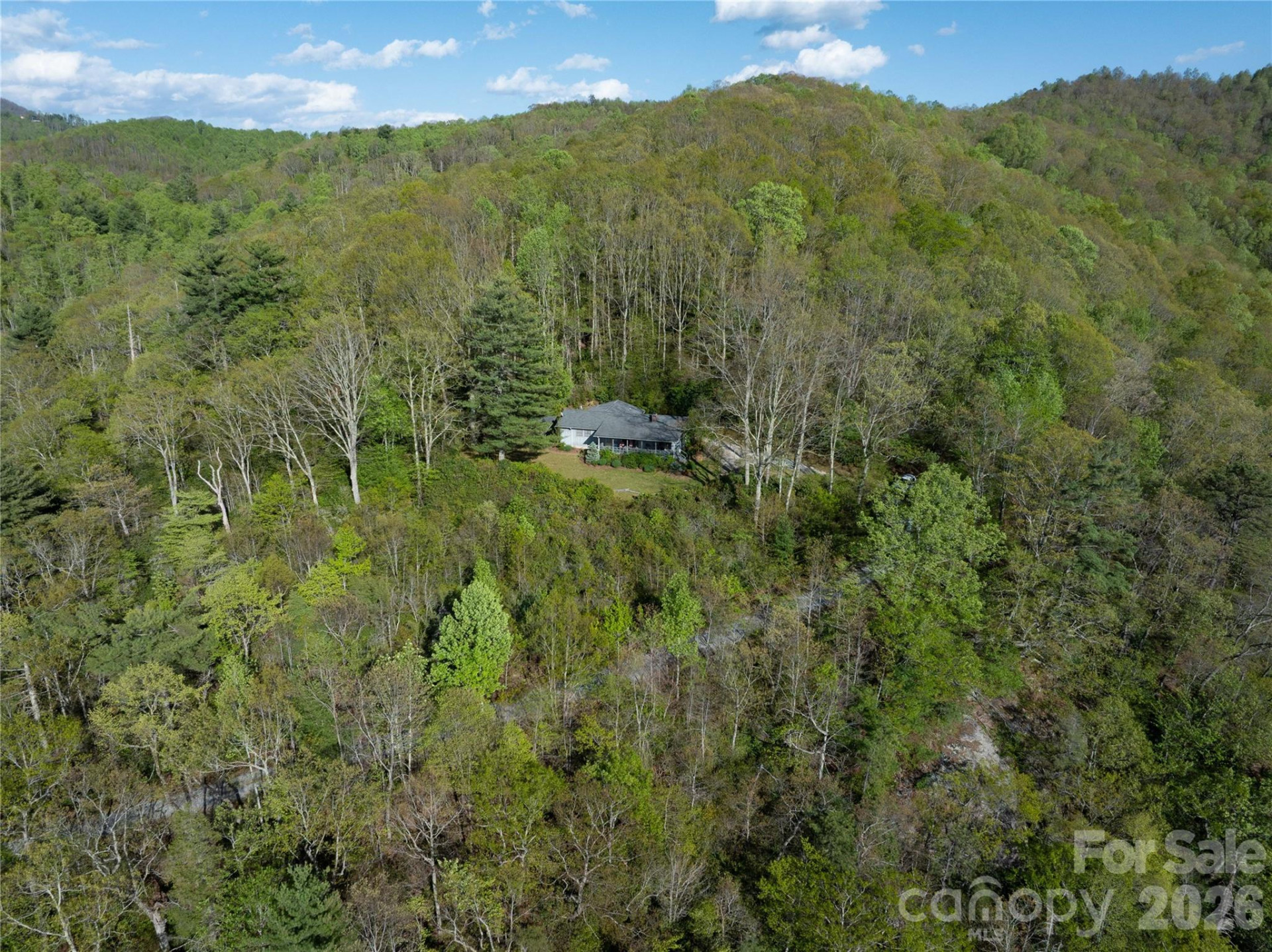 1412 Bearwallow Road - Photo 8