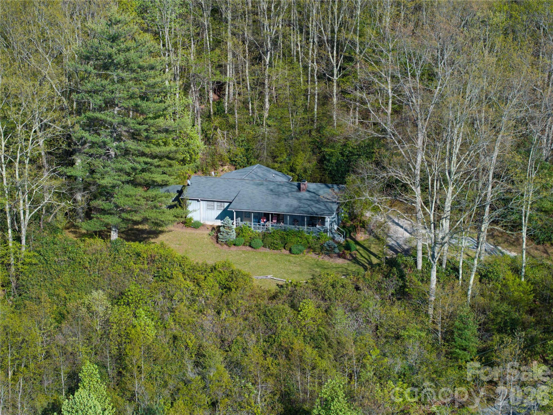 1412 Bearwallow Road - Photo 9