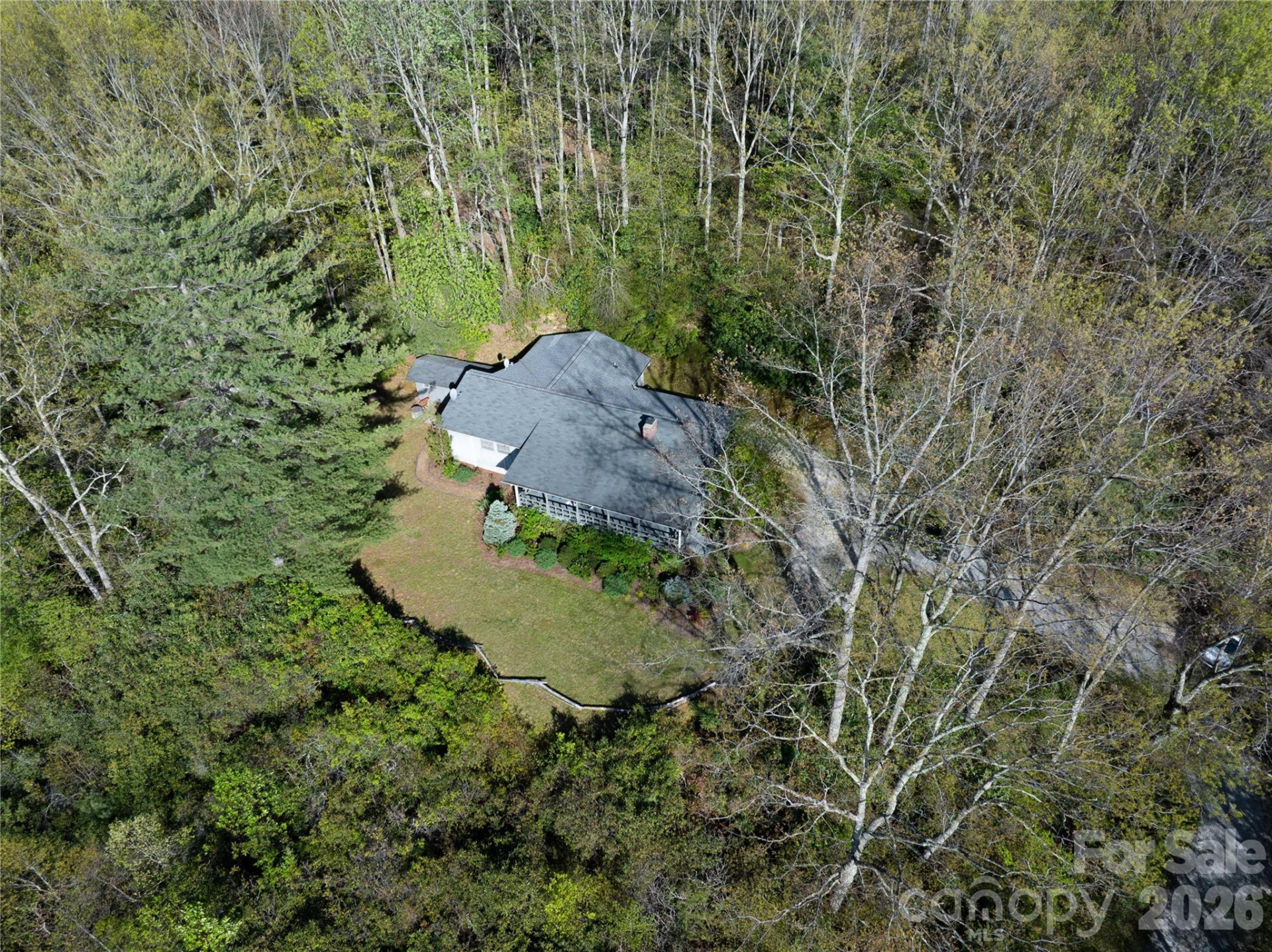 1412 Bearwallow Road - Photo 10