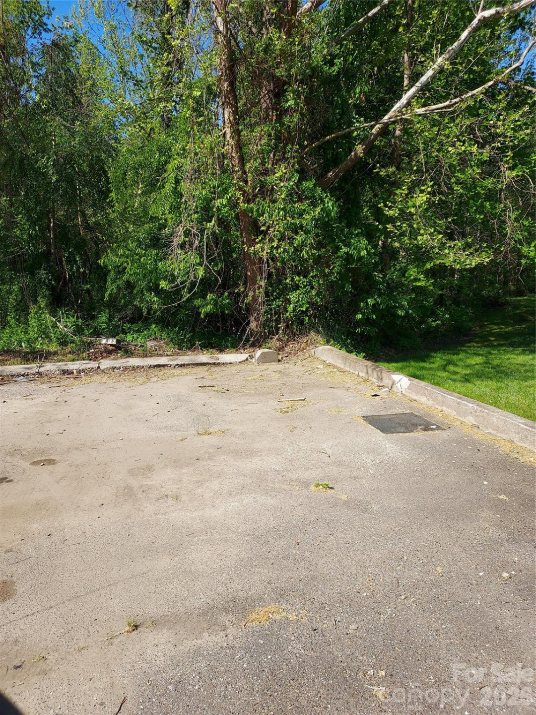 0 Catawba River Road - Photo 6