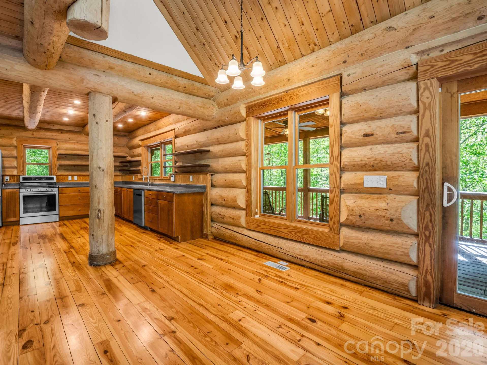 170 Old Mountain Pass - Photo 13