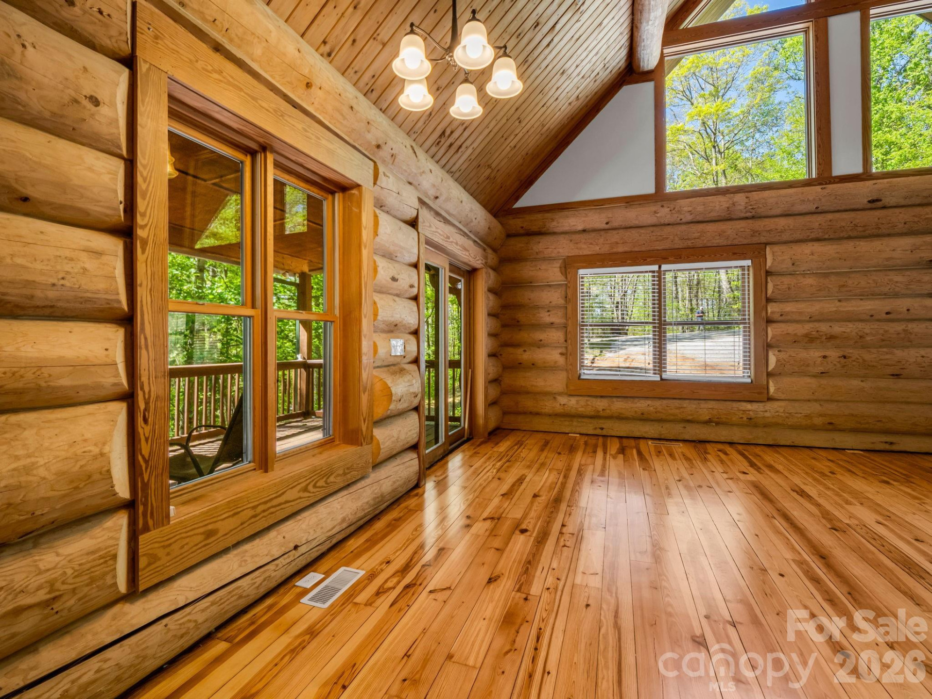 170 Old Mountain Pass - Photo 14