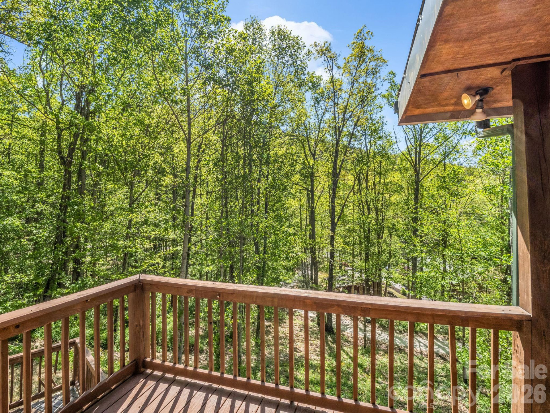 170 Old Mountain Pass - Photo 37