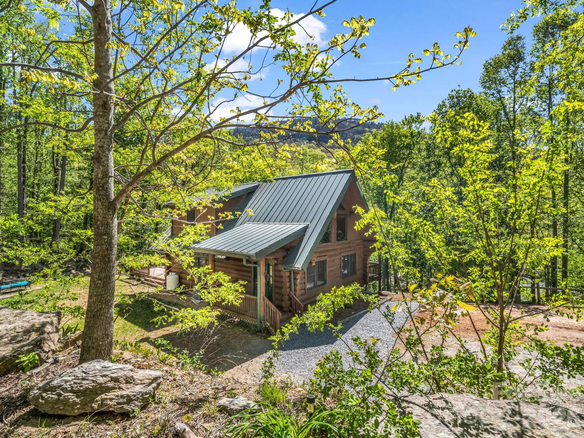 170 Old Mountain Pass - Photo 8