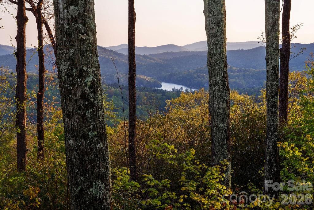 175 Skyview Road #L-5 - Photo 11