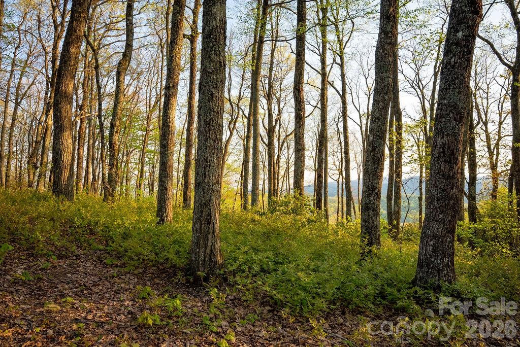 175 Skyview Road #L-5 - Photo 13