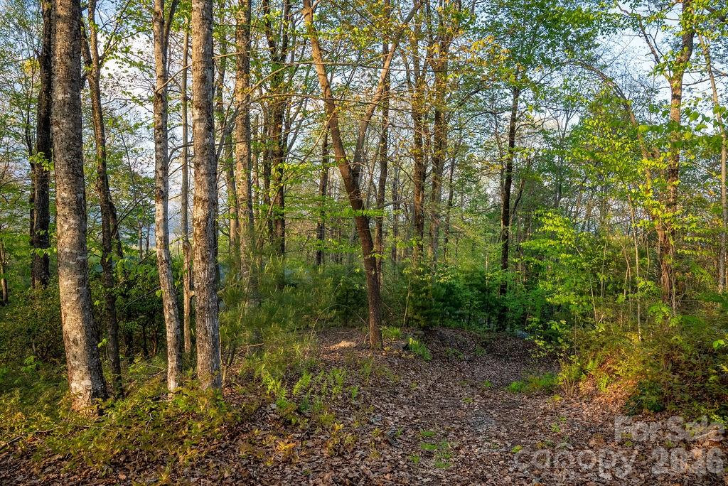 175 Skyview Road #L-5 - Photo 17