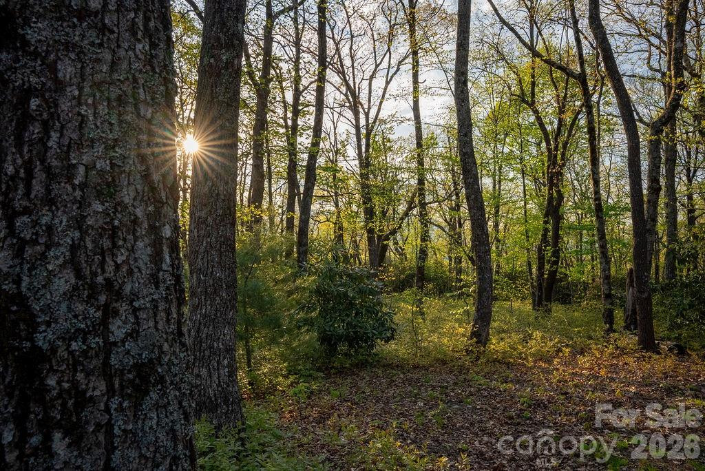 175 Skyview Road #L-5 - Photo 3