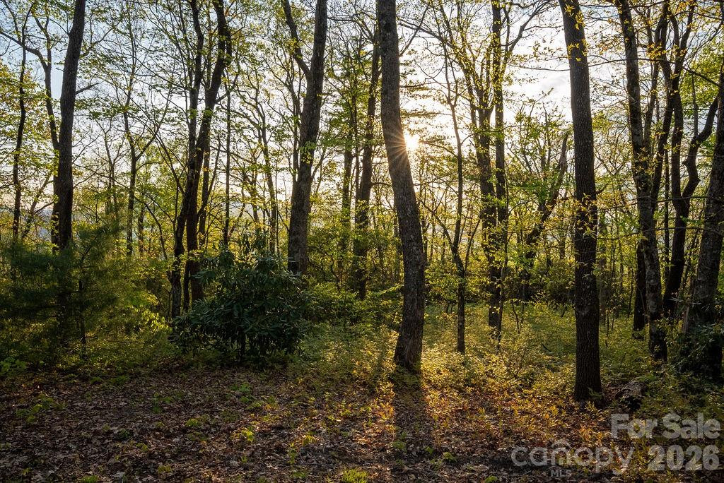 175 Skyview Road #L-5 - Photo 7