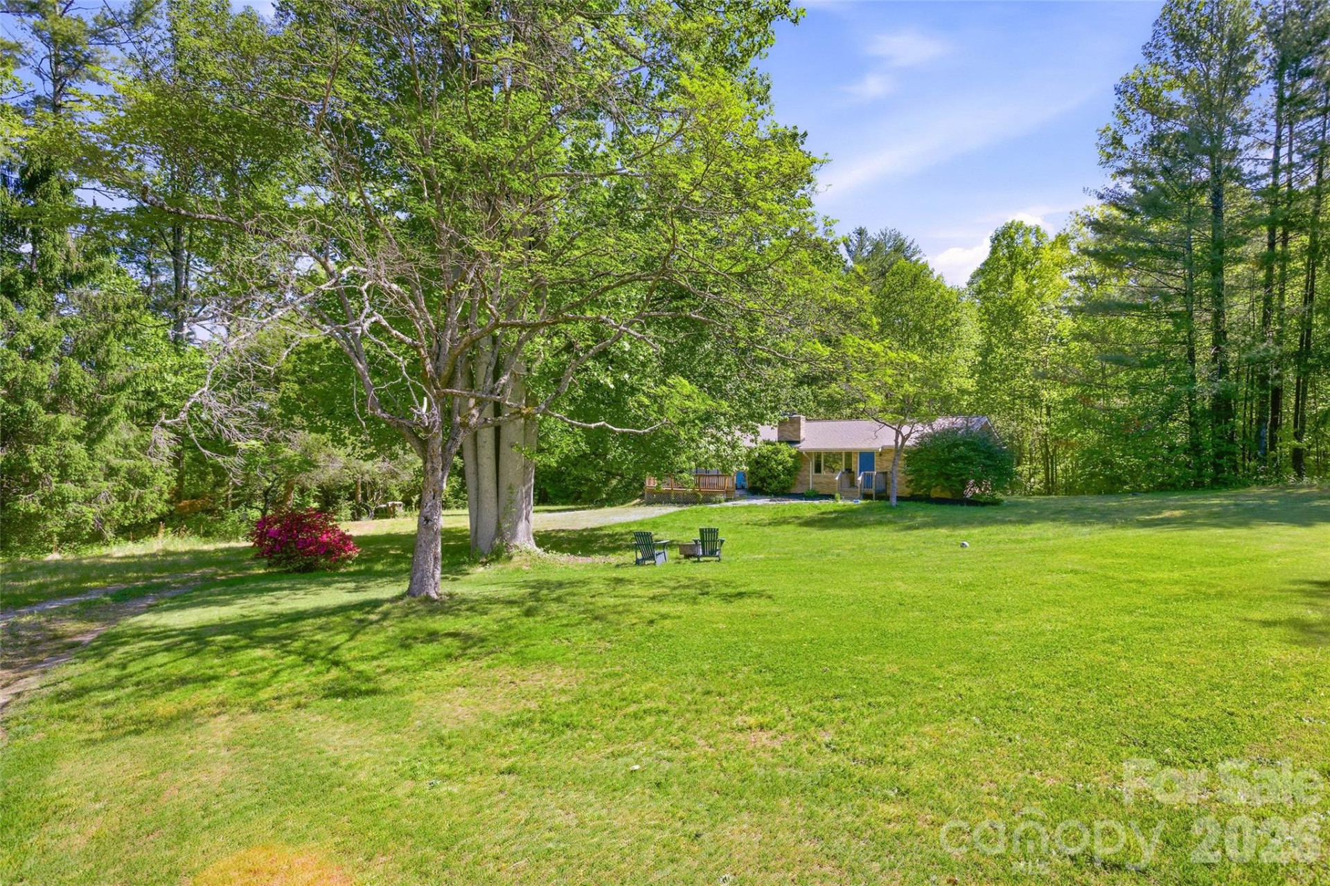 115 Field Sparrow Lane - Photo 5