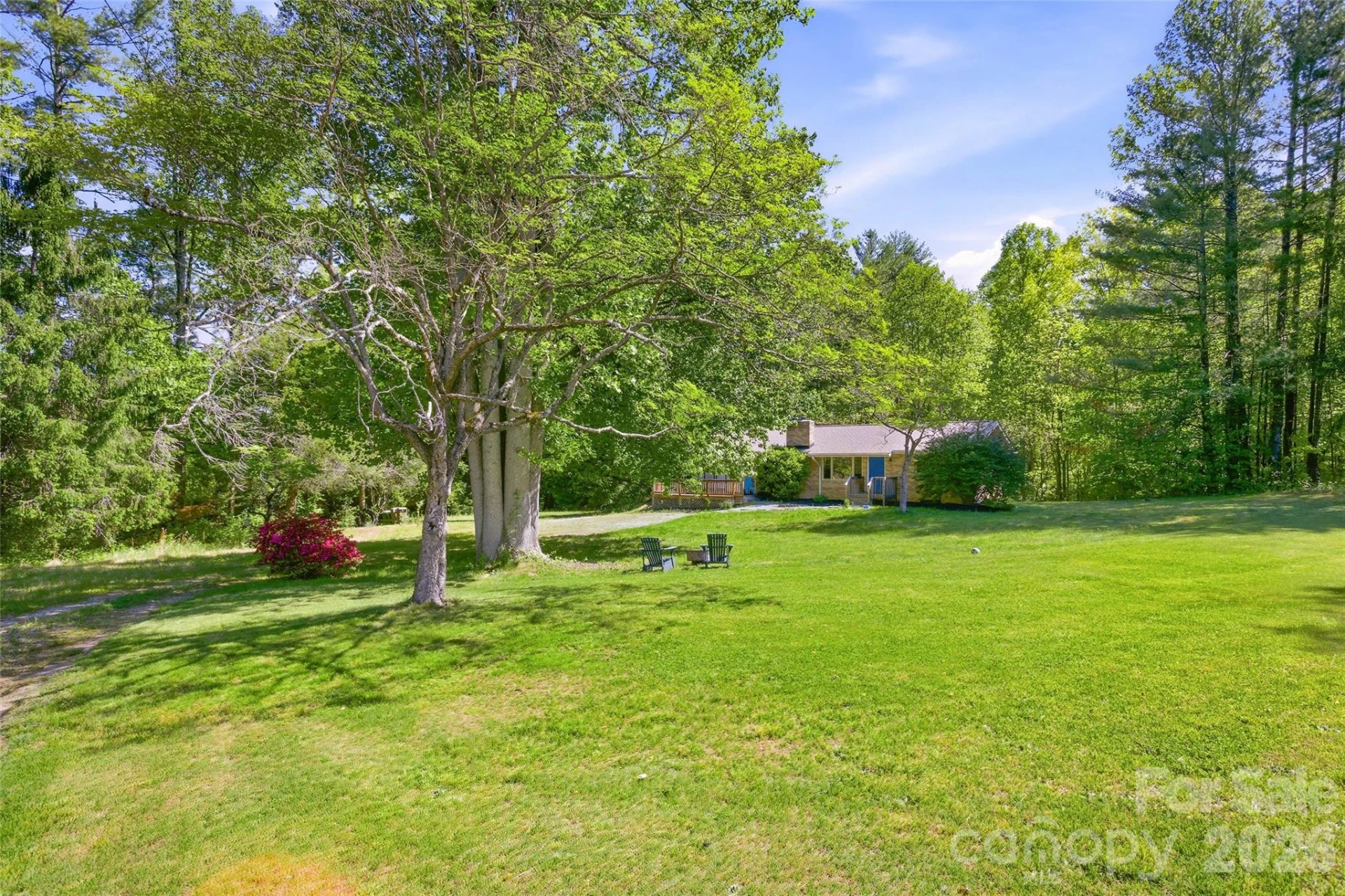 115 Field Sparrow Lane - Photo 5