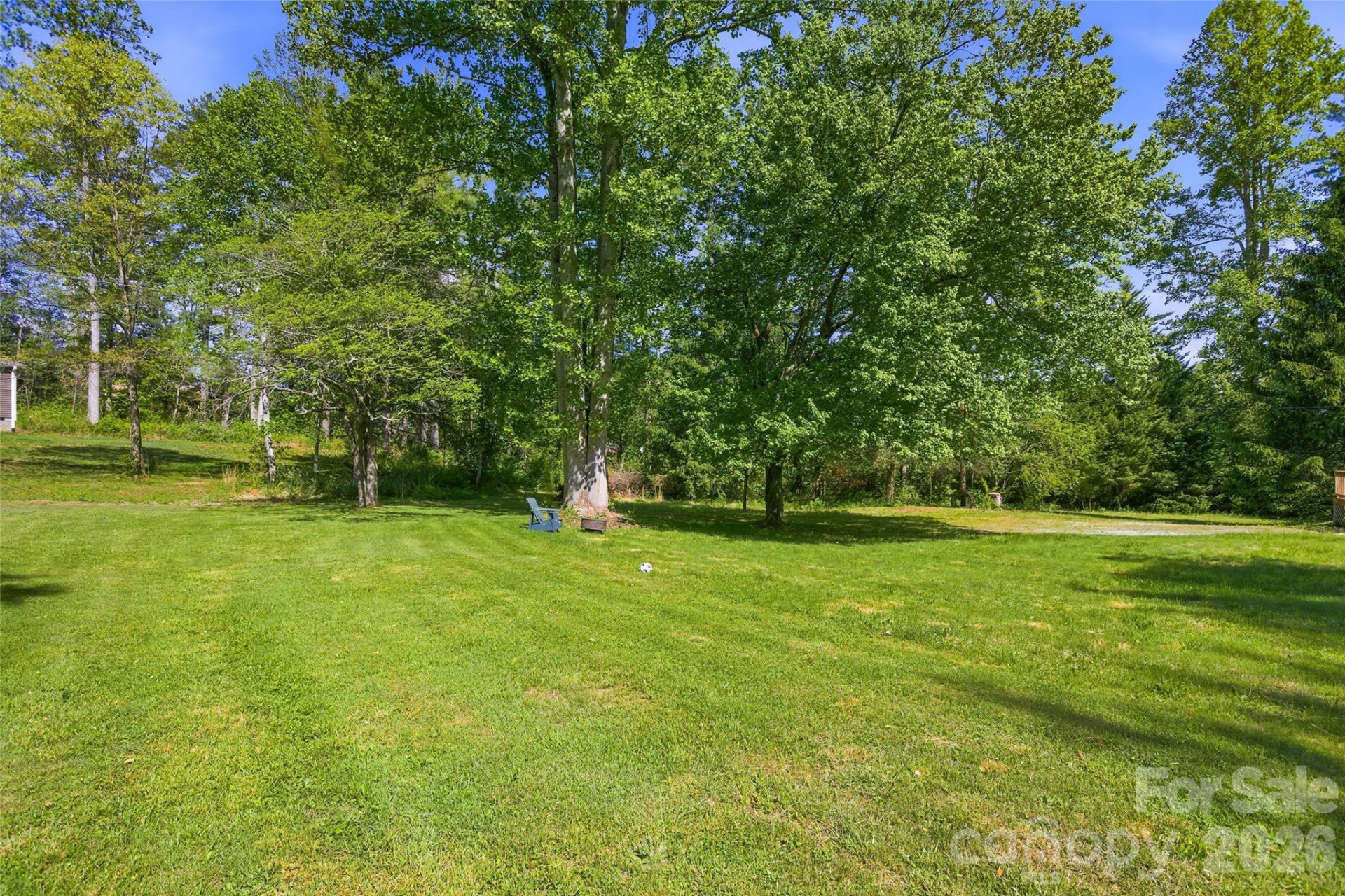 115 Field Sparrow Lane - Photo 42