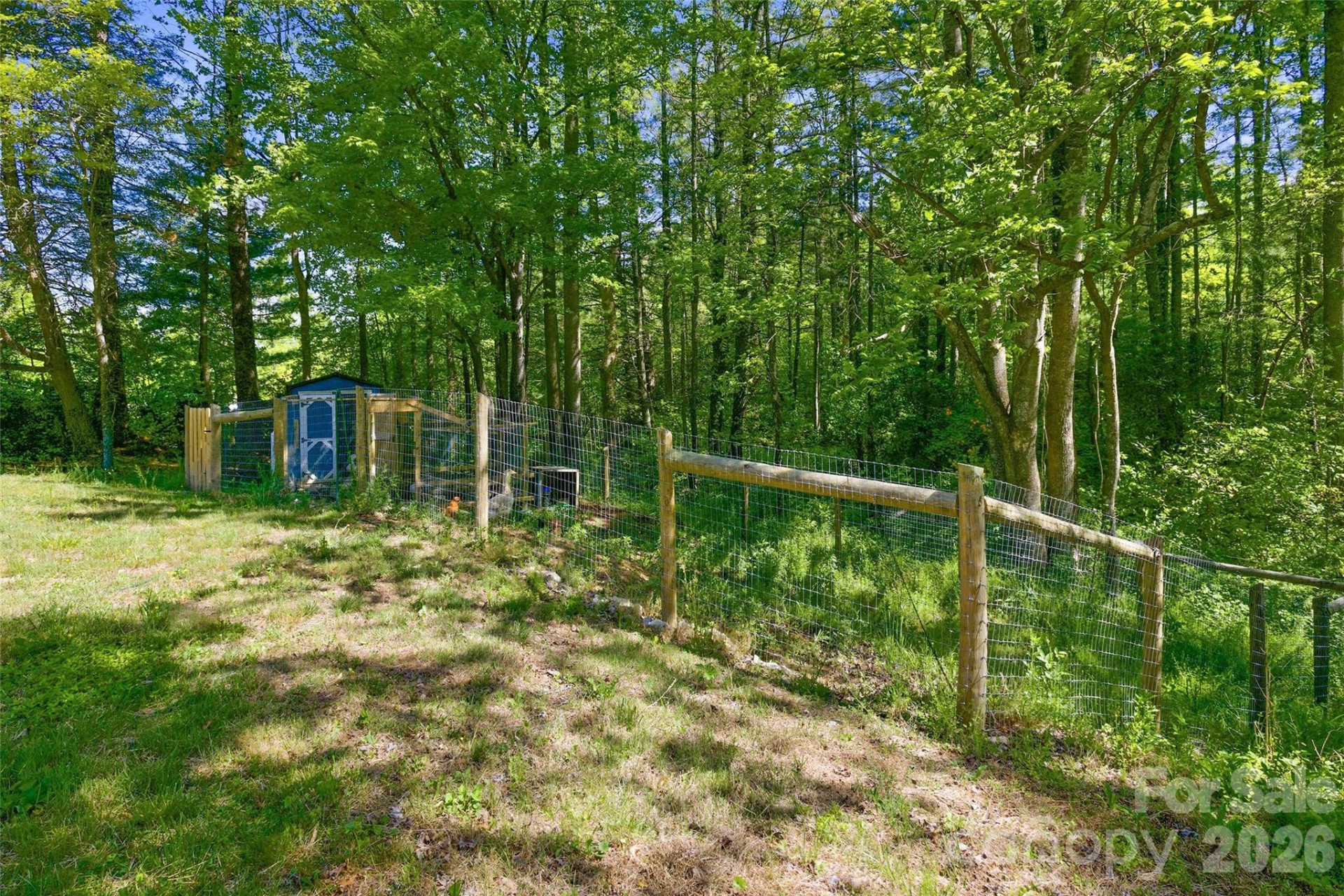 115 Field Sparrow Lane - Photo 43