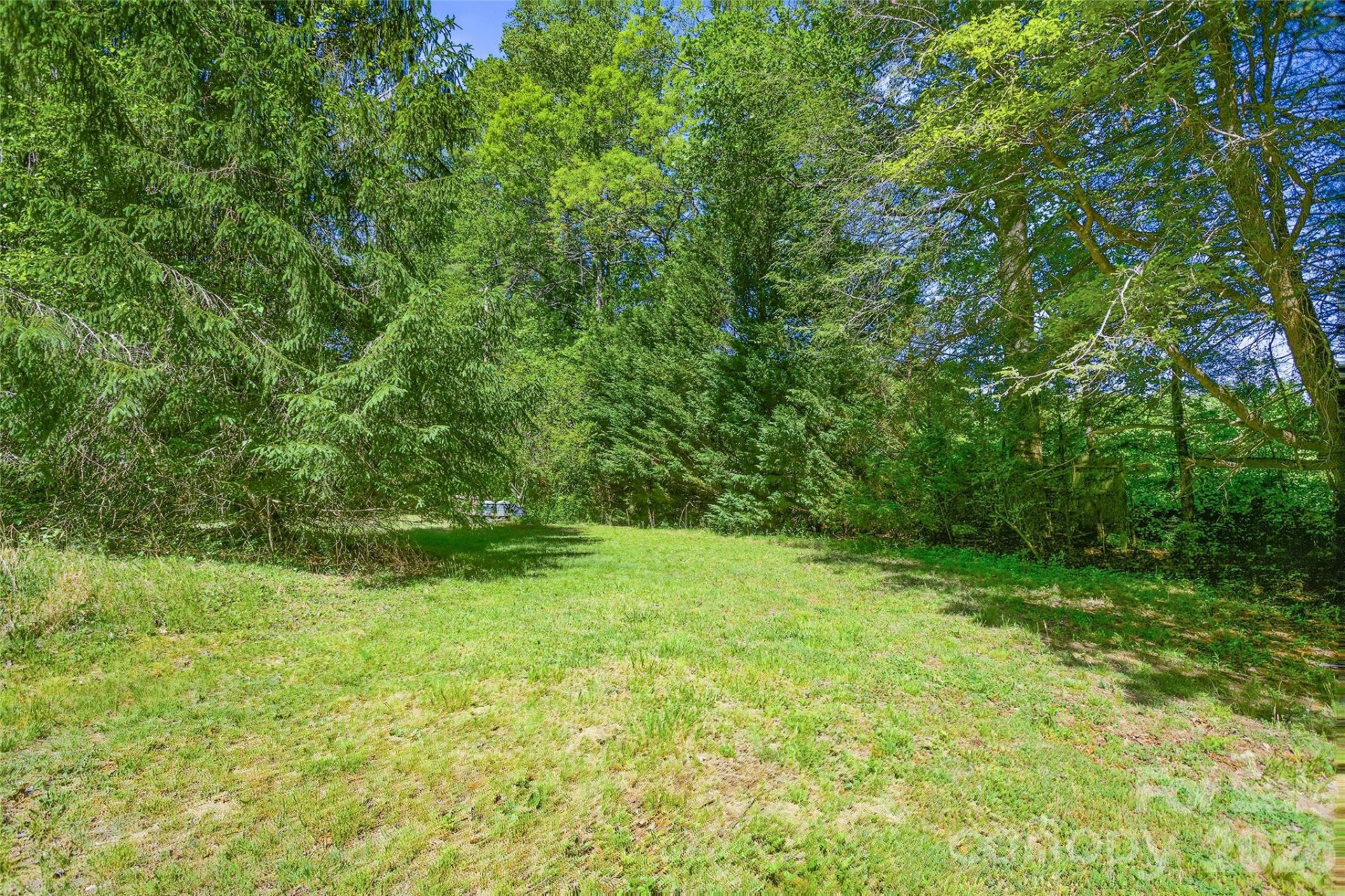 115 Field Sparrow Lane - Photo 45