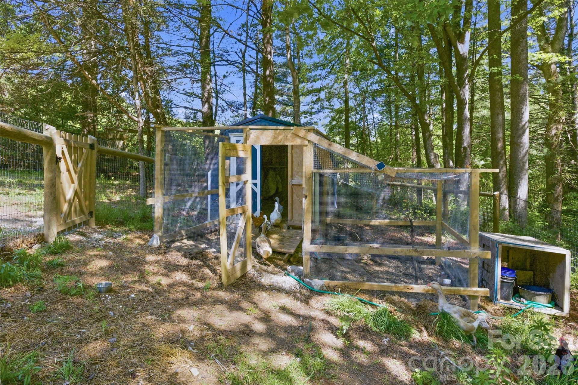 115 Field Sparrow Lane - Photo 47