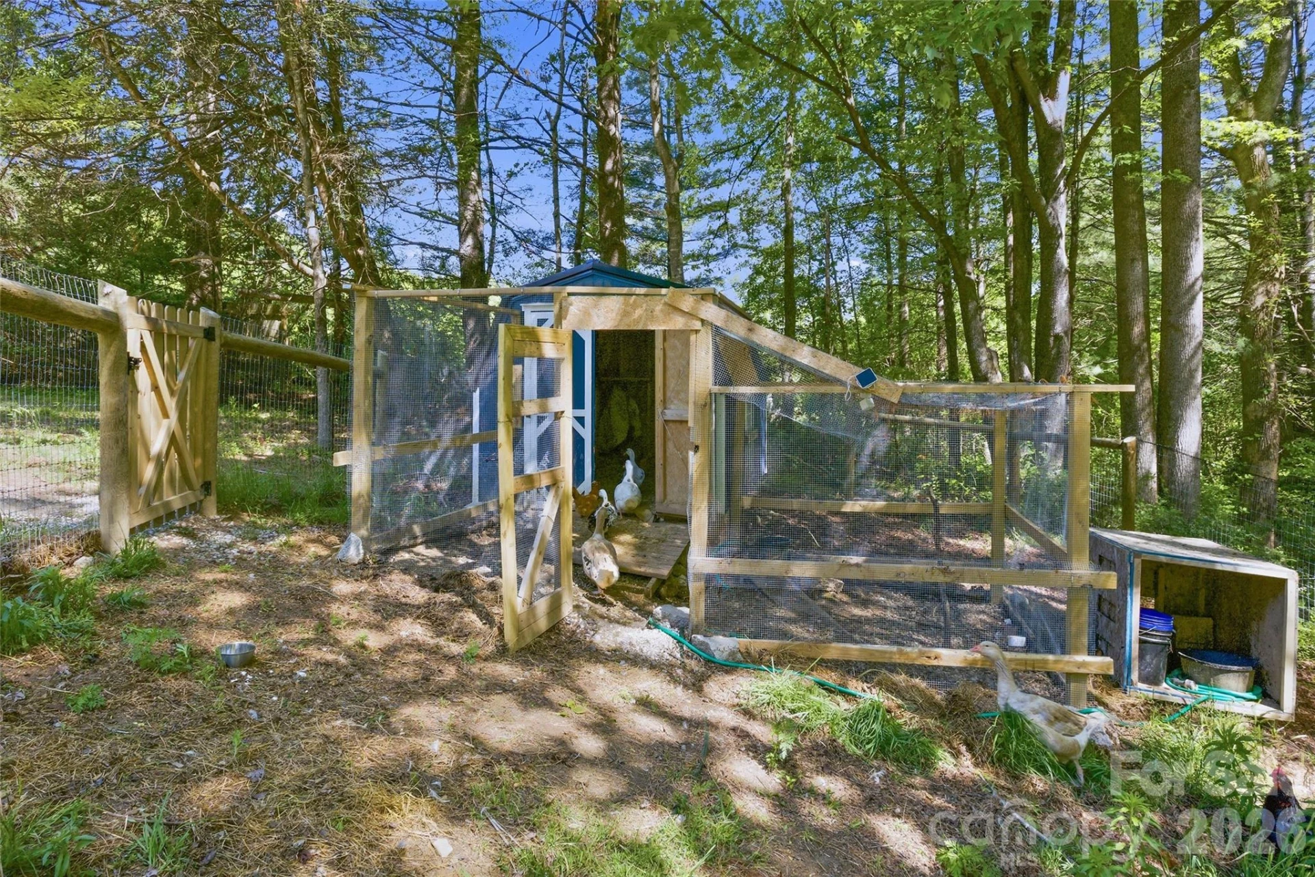 115 Field Sparrow Lane - Photo 47