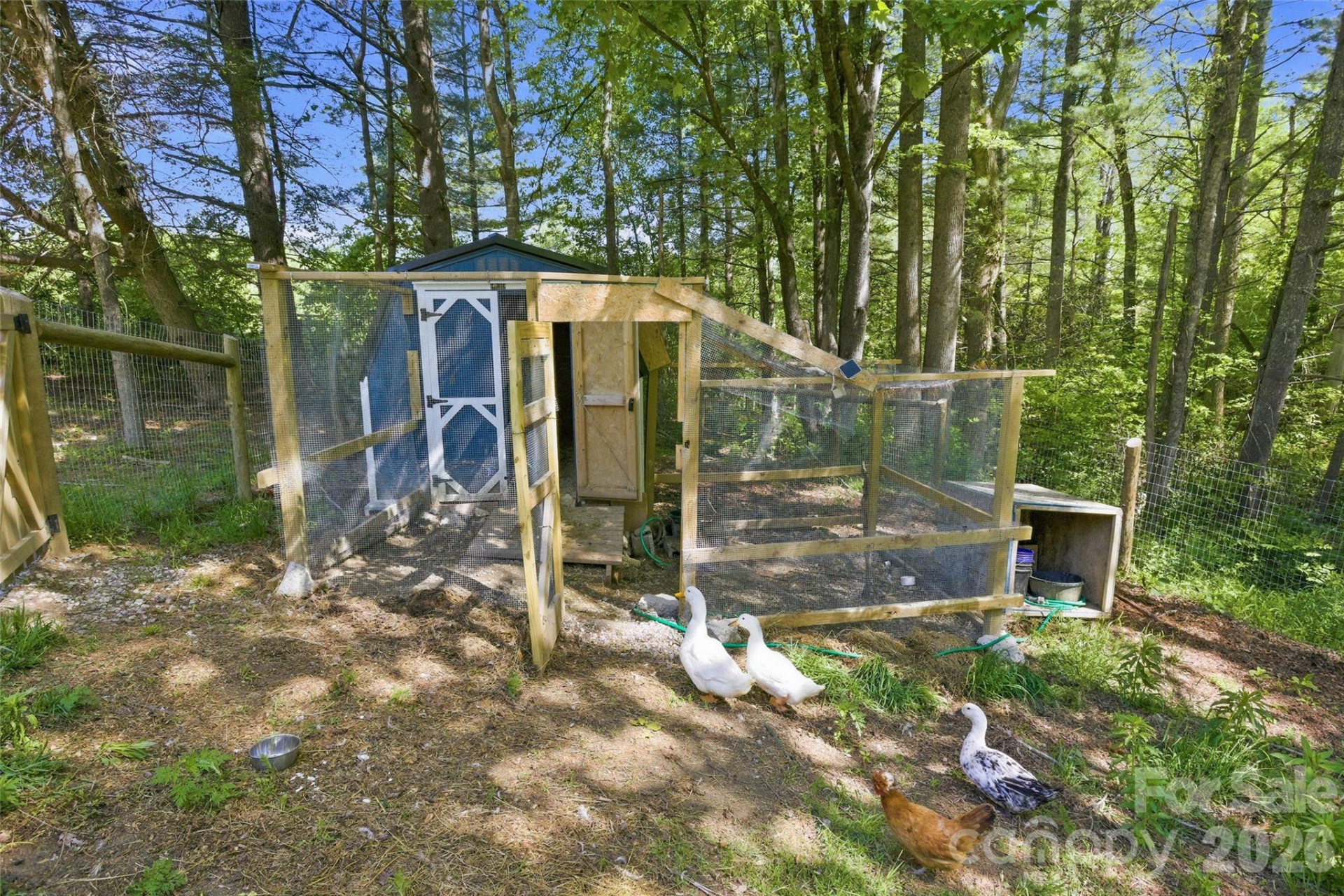 115 Field Sparrow Lane - Photo 48