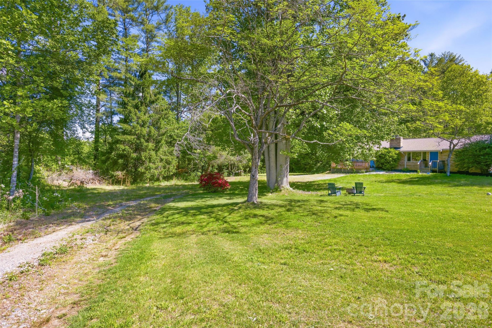 115 Field Sparrow Lane - Photo 6
