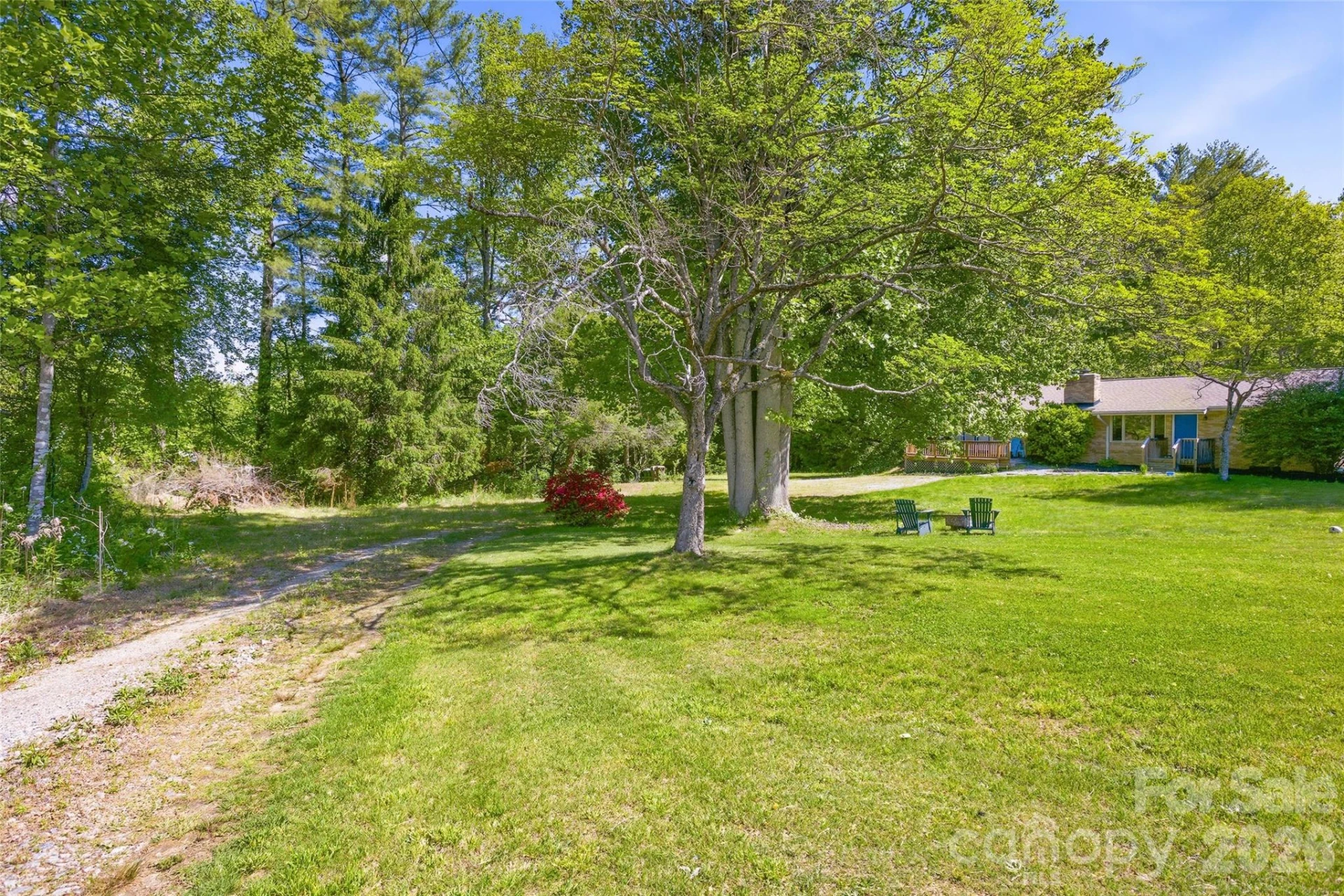 115 Field Sparrow Lane - Photo 6