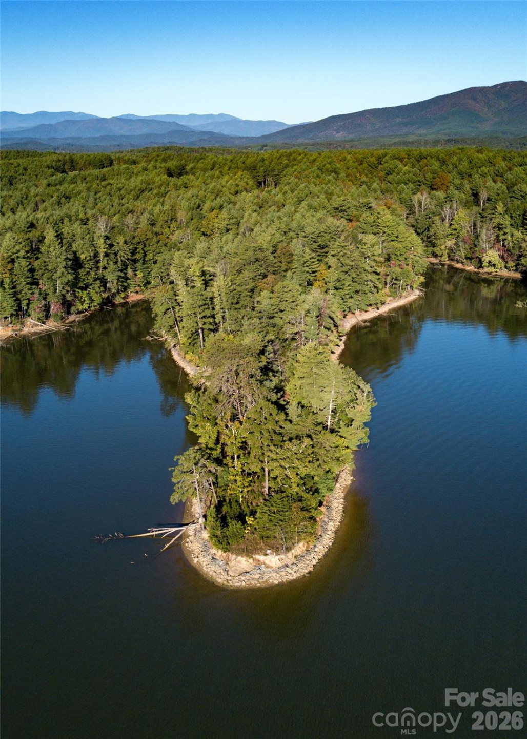 179 Turtle Head Drive #14 - Photo 11