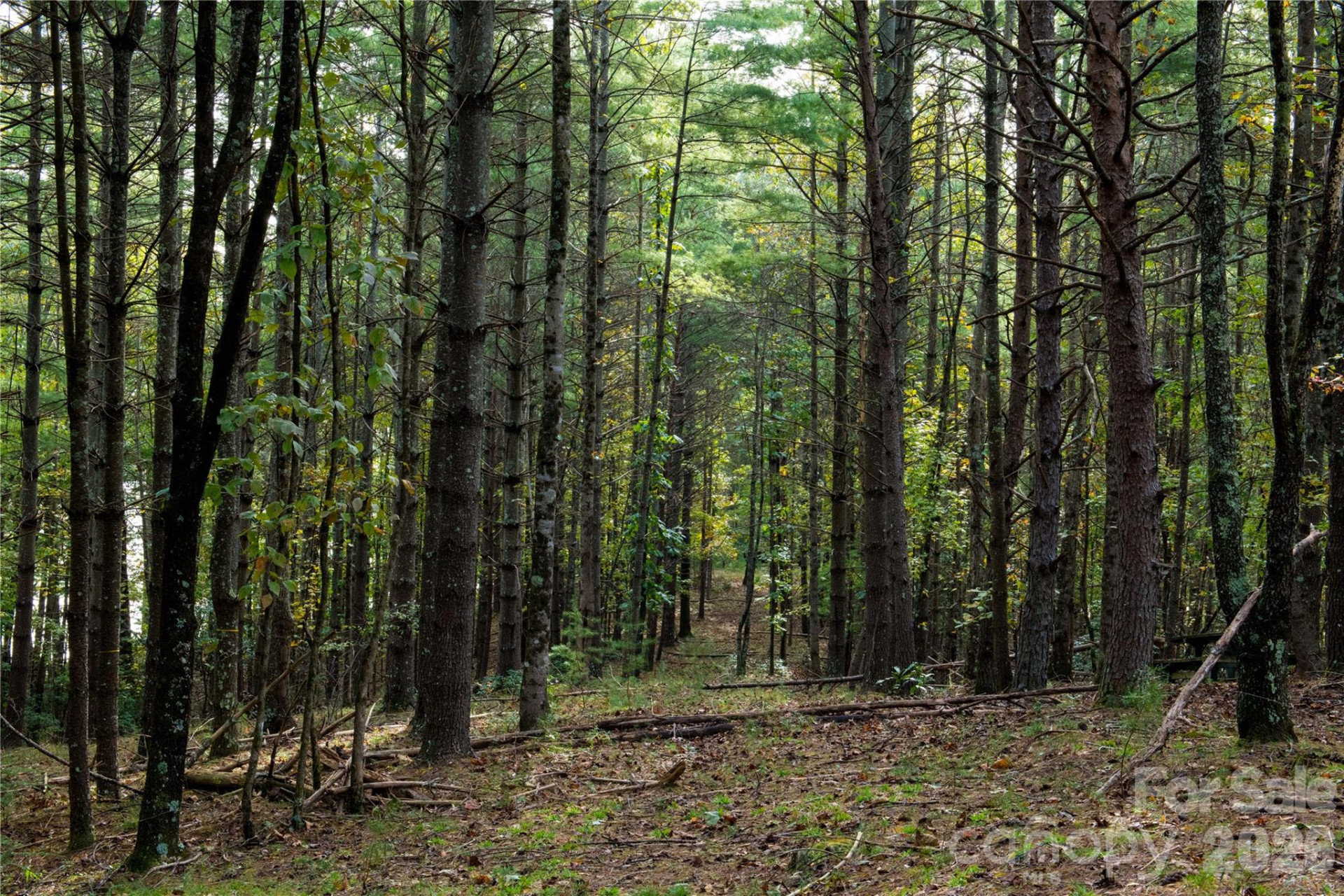 179 Turtle Head Drive #14 - Photo 15