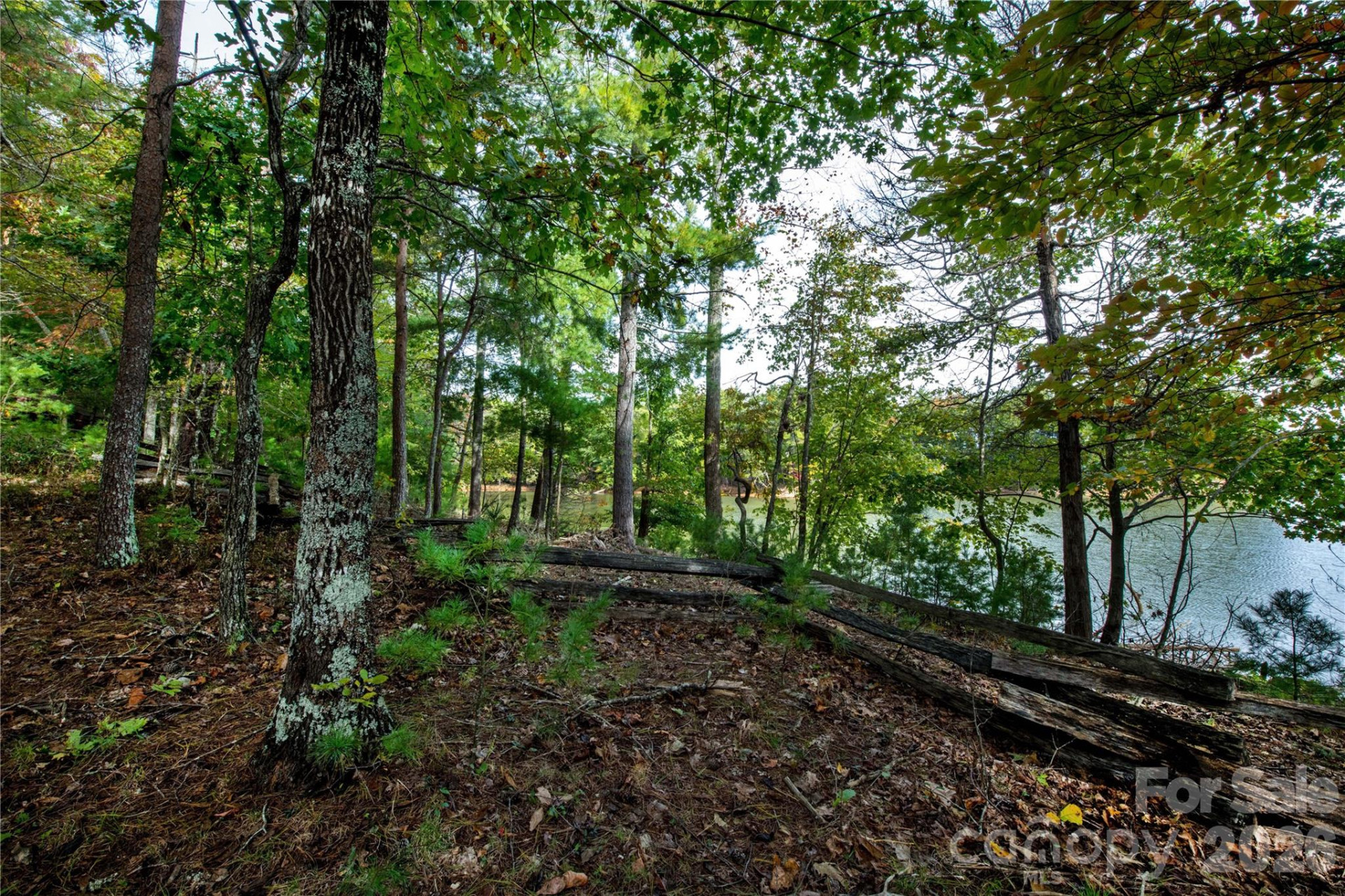 179 Turtle Head Drive #14 - Photo 16