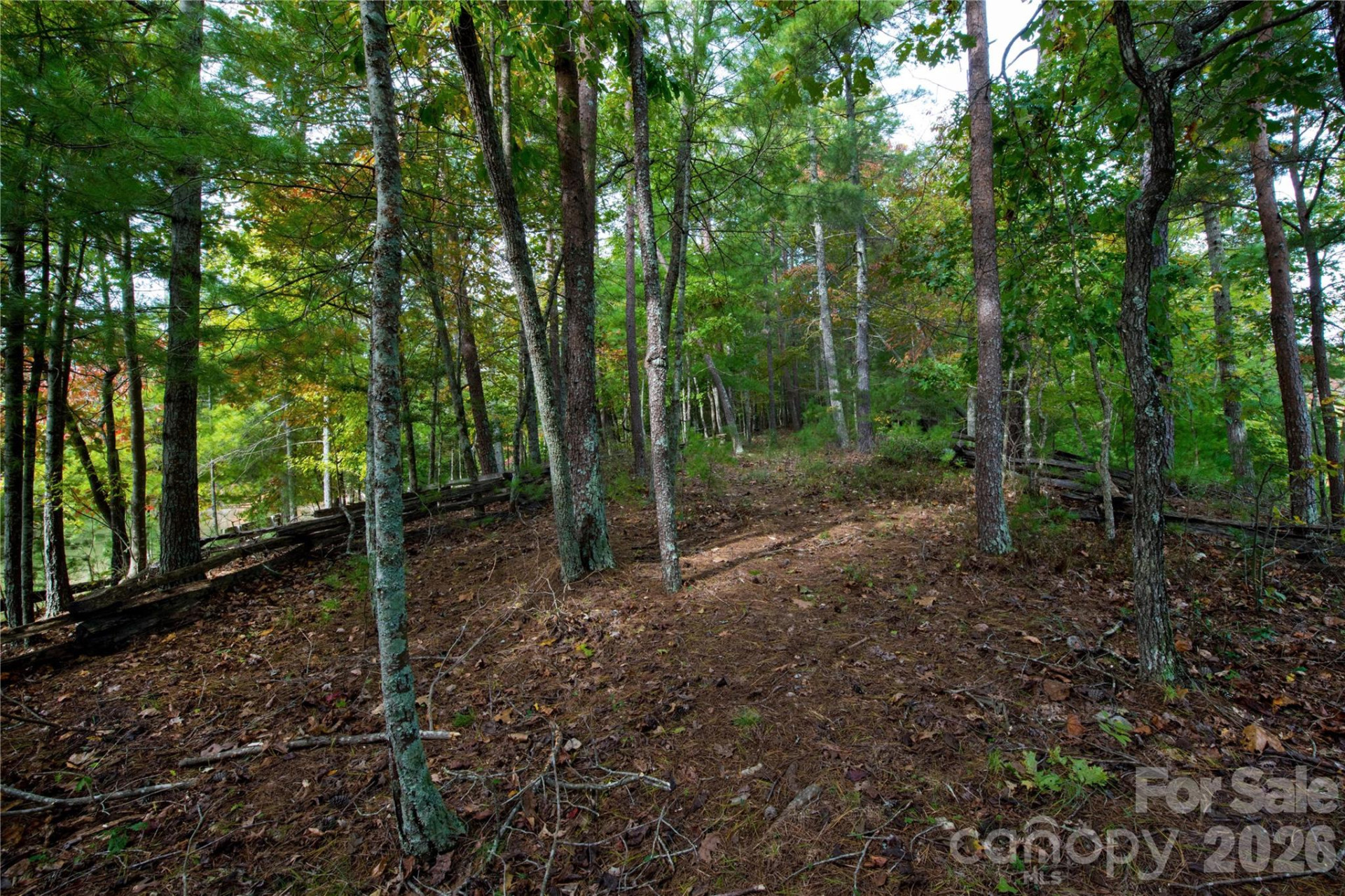 179 Turtle Head Drive #14 - Photo 18