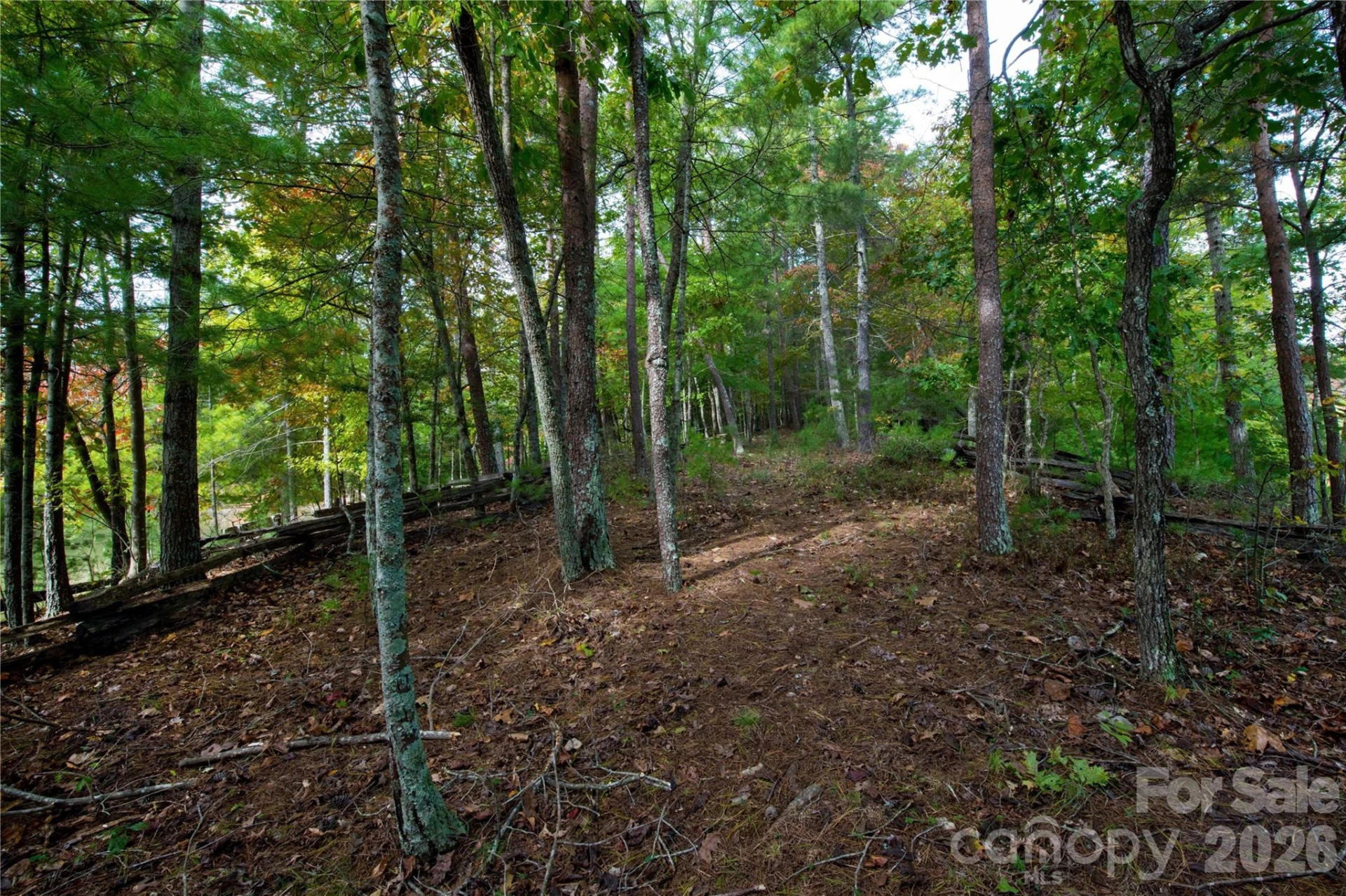 179 Turtle Head Drive #14 - Photo 18